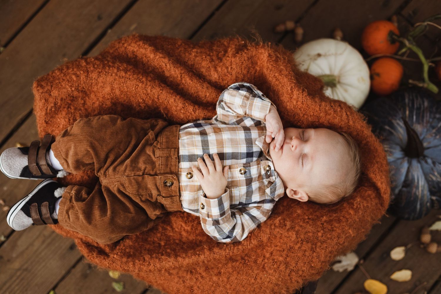 New Born portraits with props