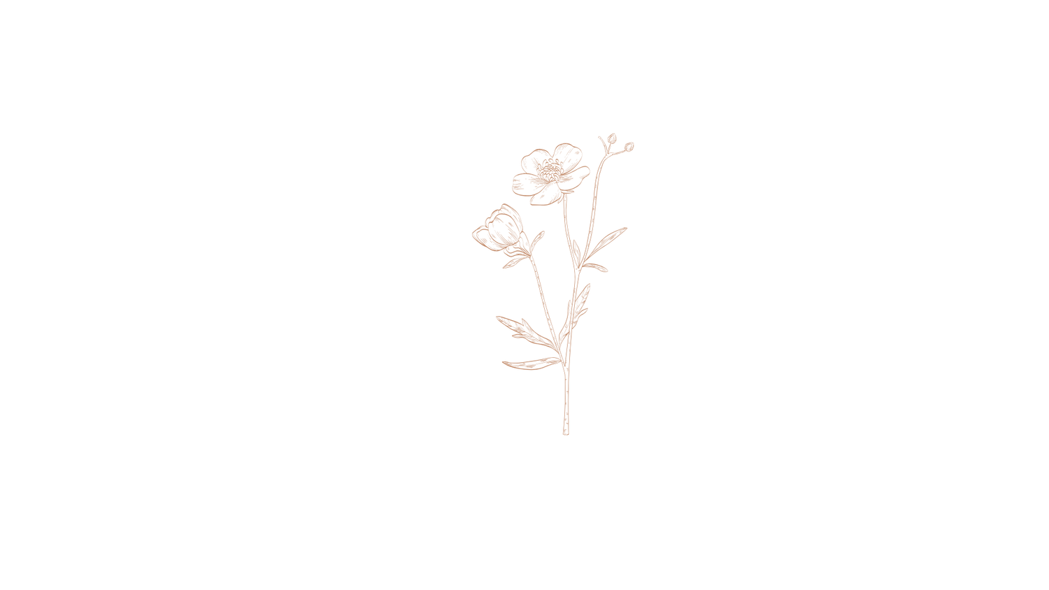 Minimalist rose gold floral illustration on black background.