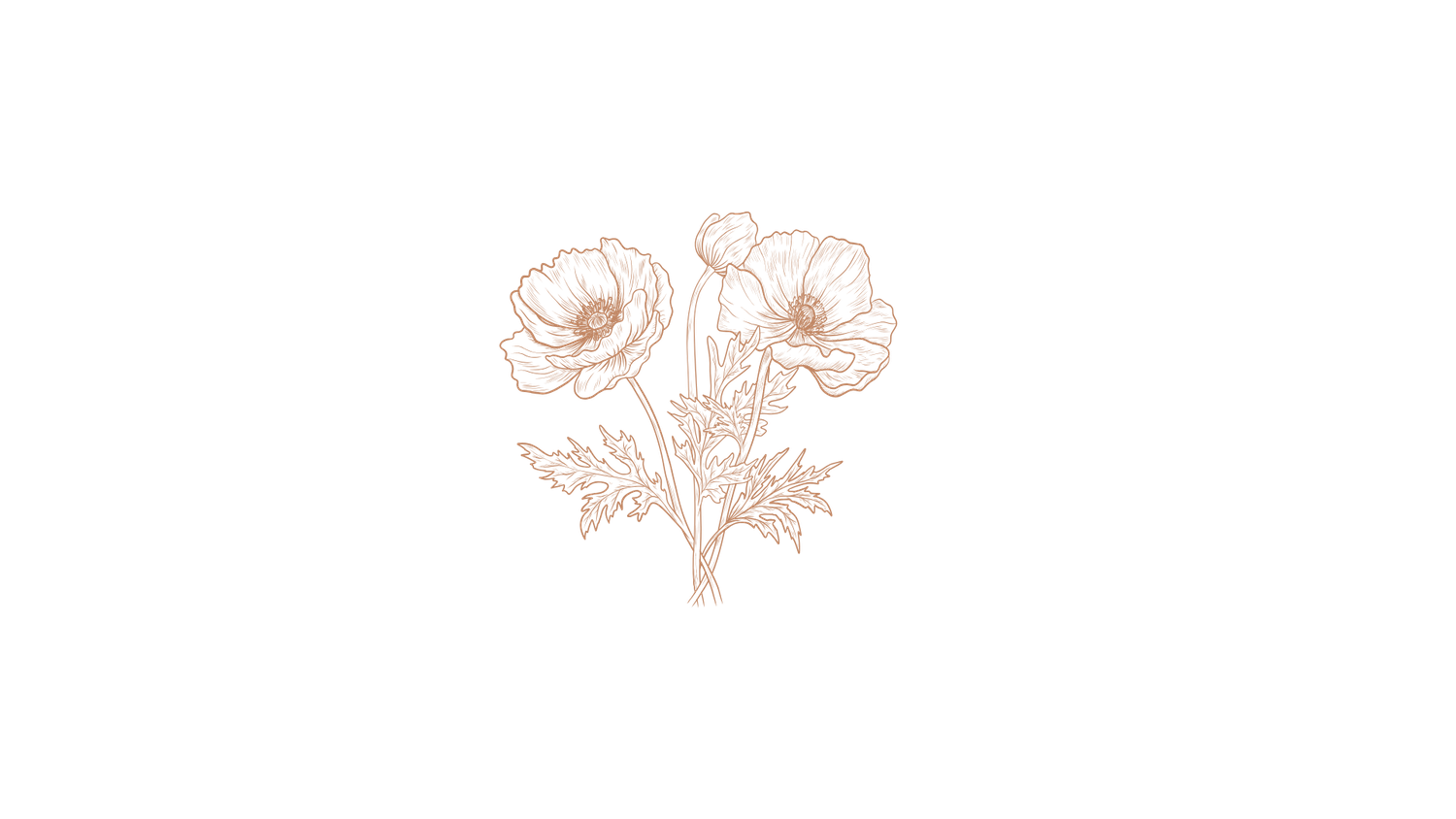 Copper-toned illustration of two flowers with stems on black background.