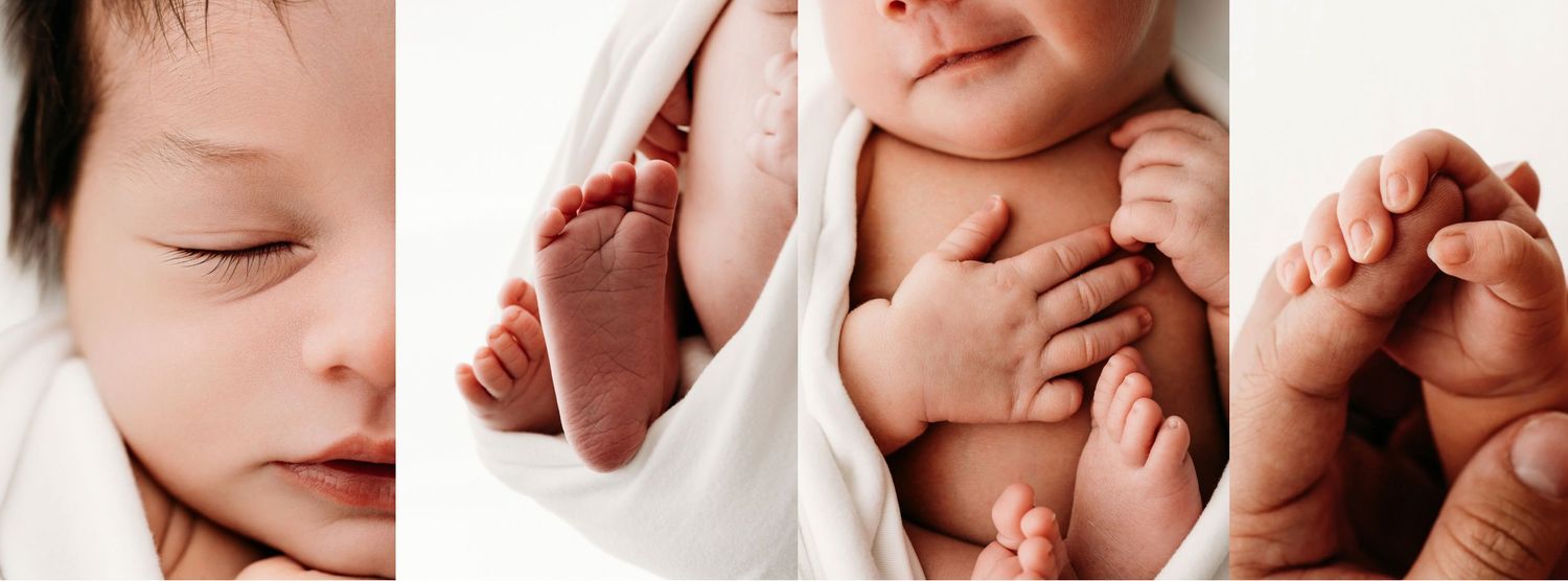 Kalamazoo-Maternity-Photographer   Kalamazoo-Newborn-Photographer