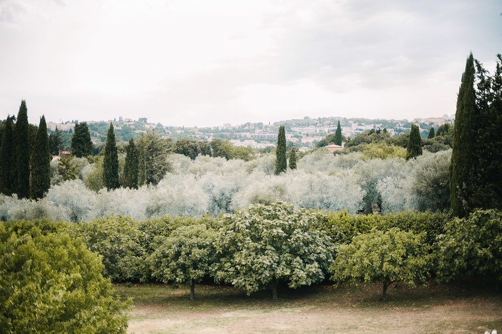 Lush green garden landscape with cypress trees and blooming white shrubs under cloudy sky.