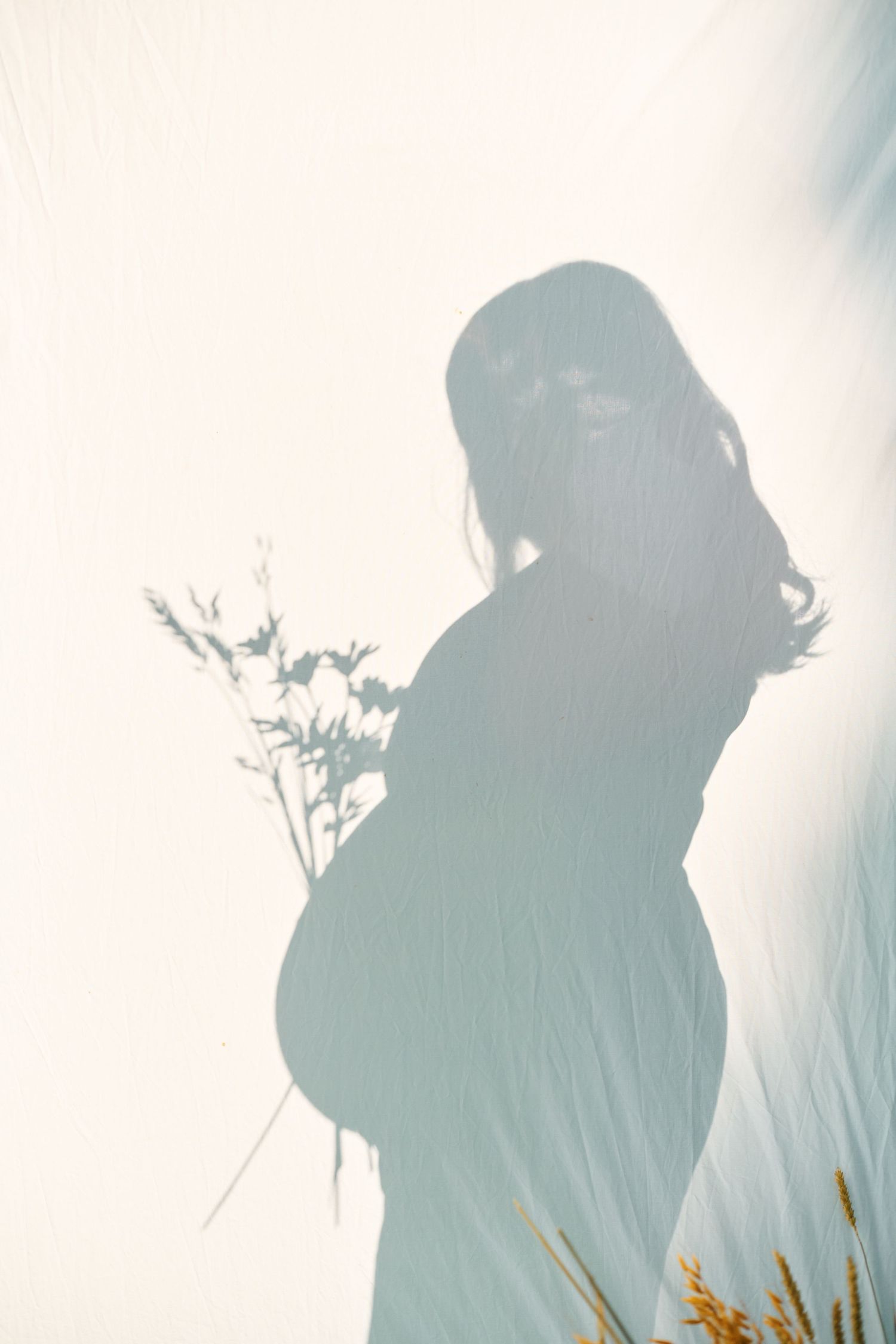 Artistic silhouette of pregnant woman holding wildflowers projected as shadow on white fabric backdrop.