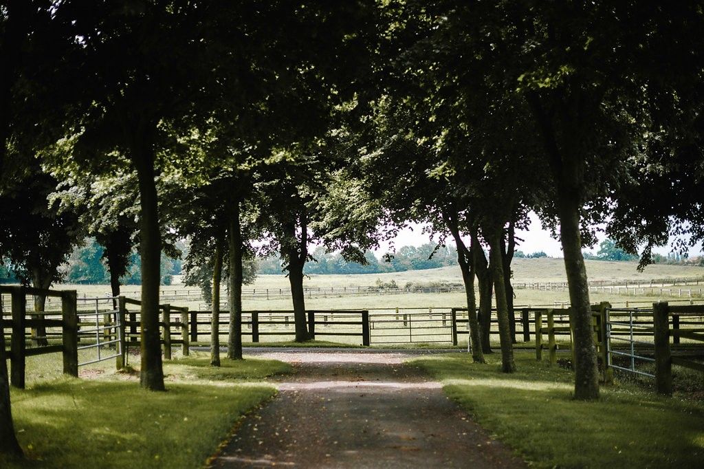 Tree-lined pathway leading to open green fields with wooden fencing at a countryside venue.