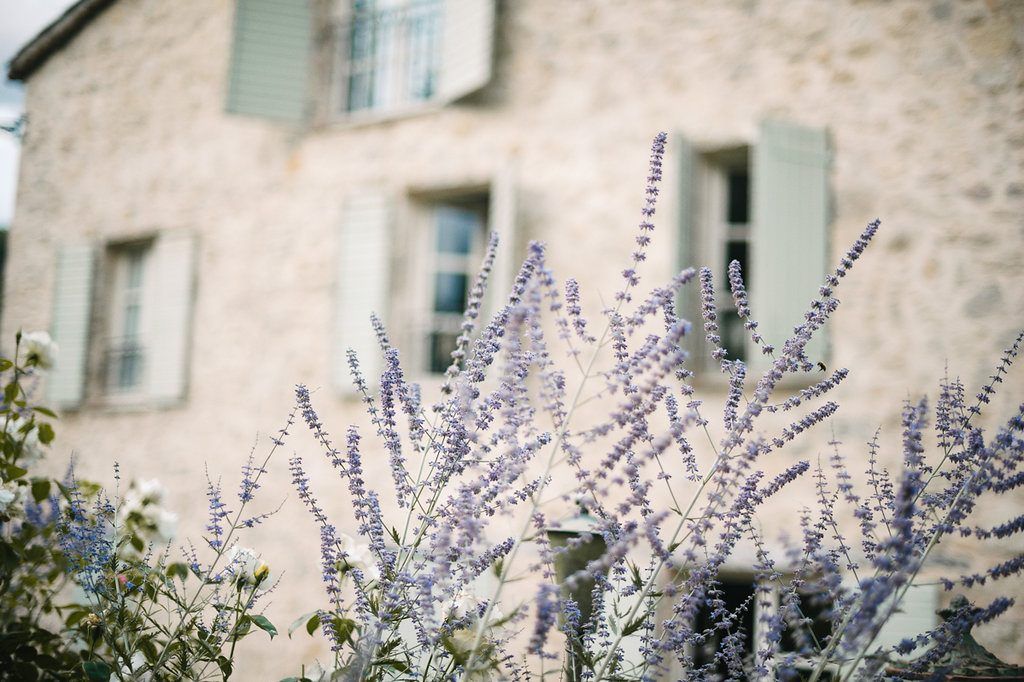 Purple lavender blooms in foreground with rustic stone Provençal building and sage green shutters behind.