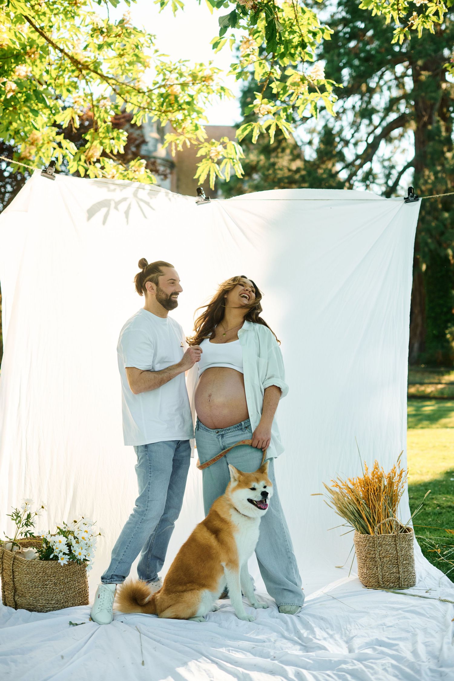 A pregnant couple laughs together outdoors with their Shiba Inu dog against a white backdrop.