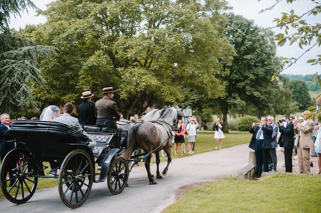 Wedding guests watch as bride and groom arrive in an elegant horse-drawn carriage along a tree-lined path.