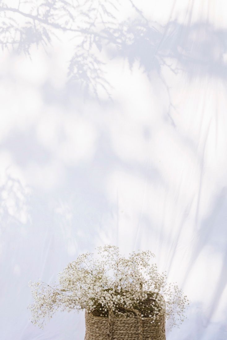 Delicate white baby's breath flowers in woven basket against soft white backdrop.