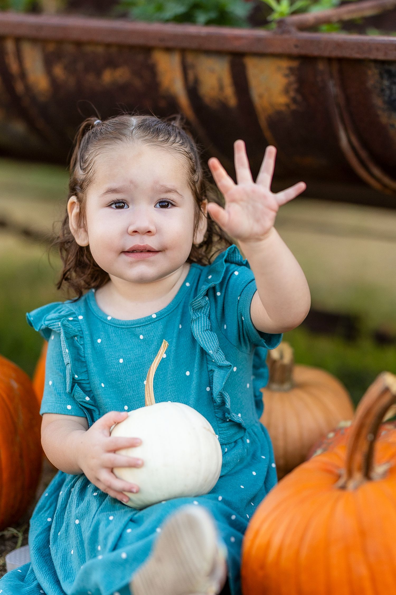Toddler girl in teal dress waving while holding white pumpkin surrounded by orange pumpkins at fall patch.