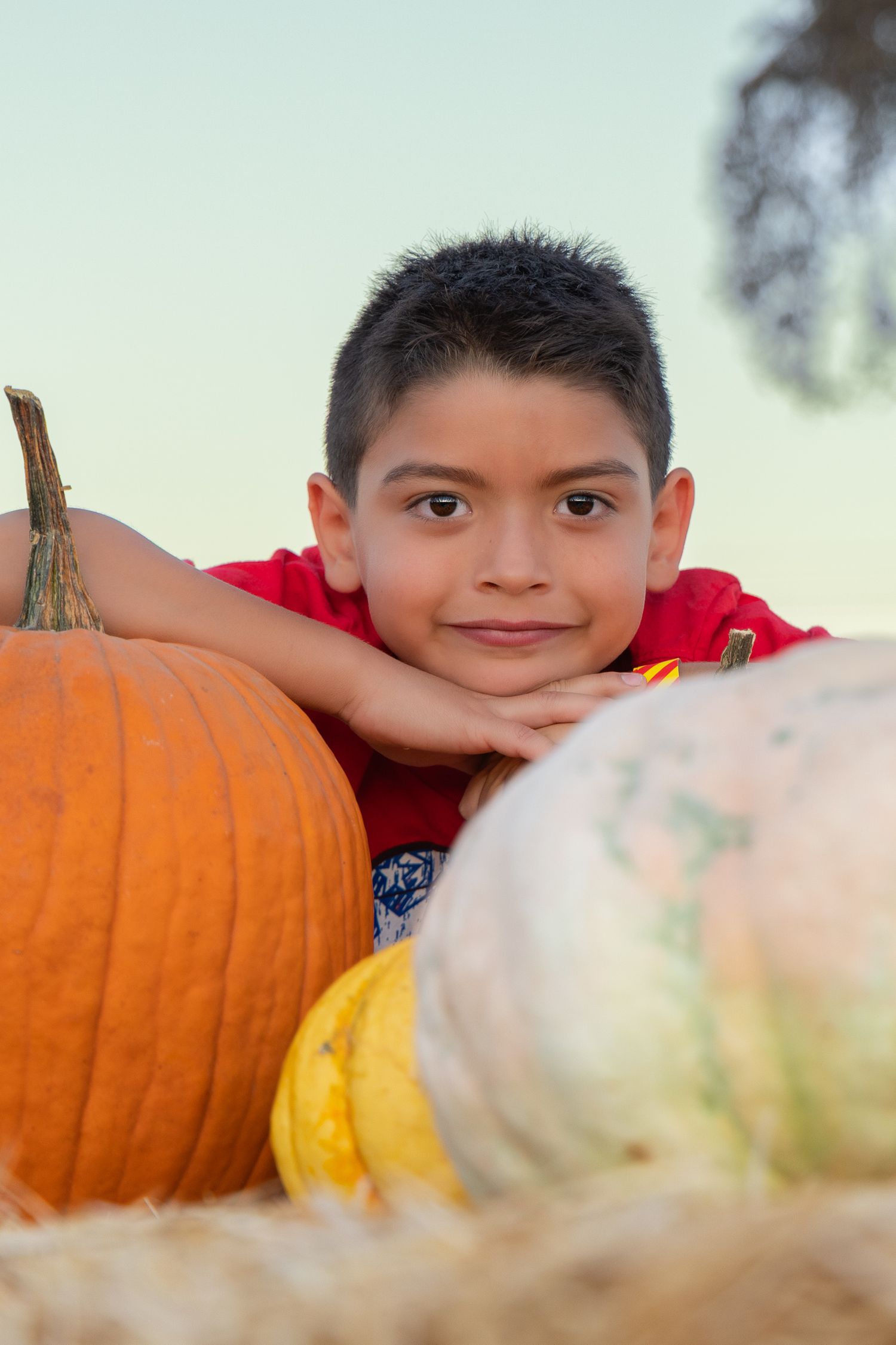 Young boy in red shirt resting chin on hands among colorful pumpkins and gourds at a fall harvest patch.