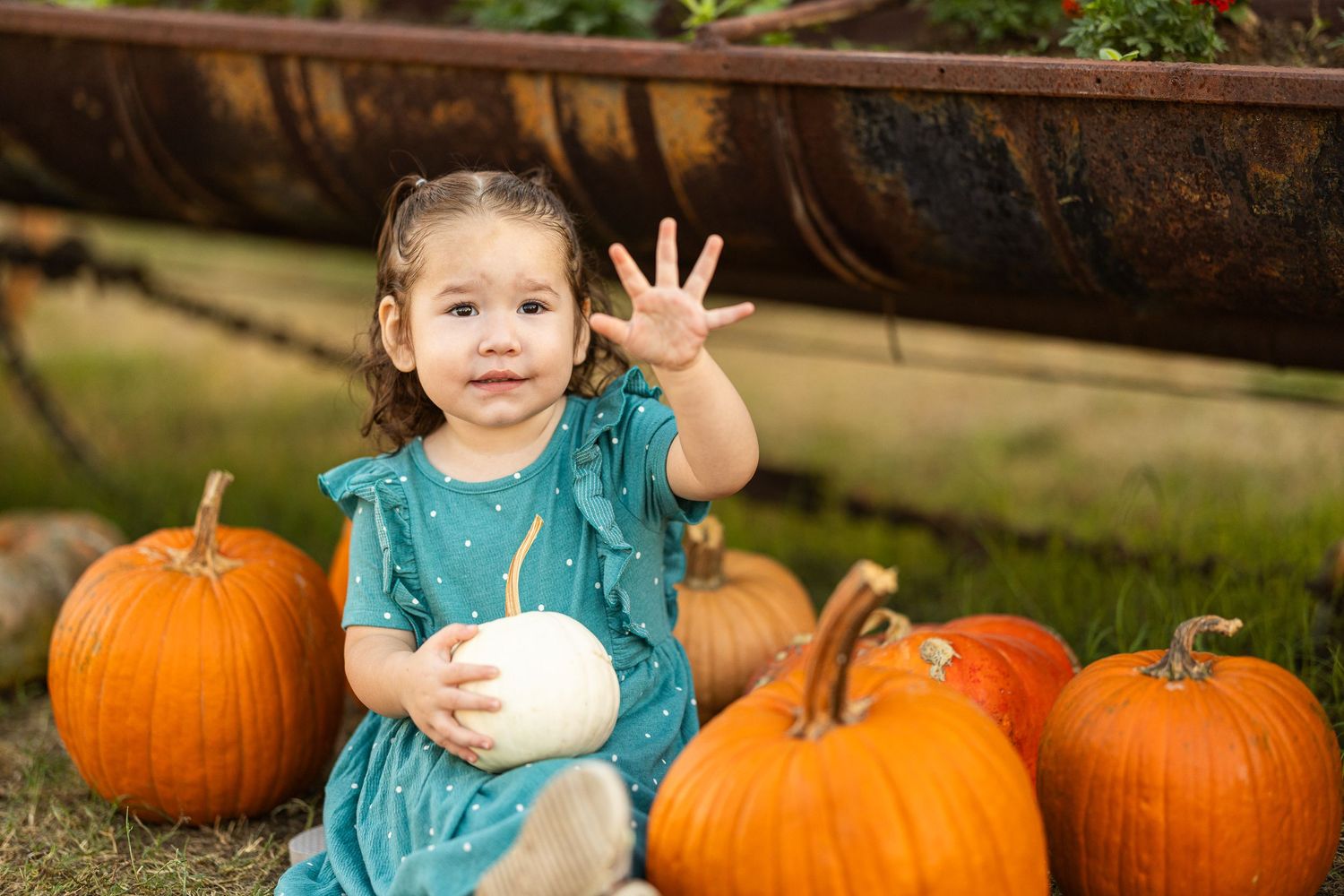 A toddler girl in a teal dress waves while sitting among orange and white pumpkins at a fall pumpkin patch.