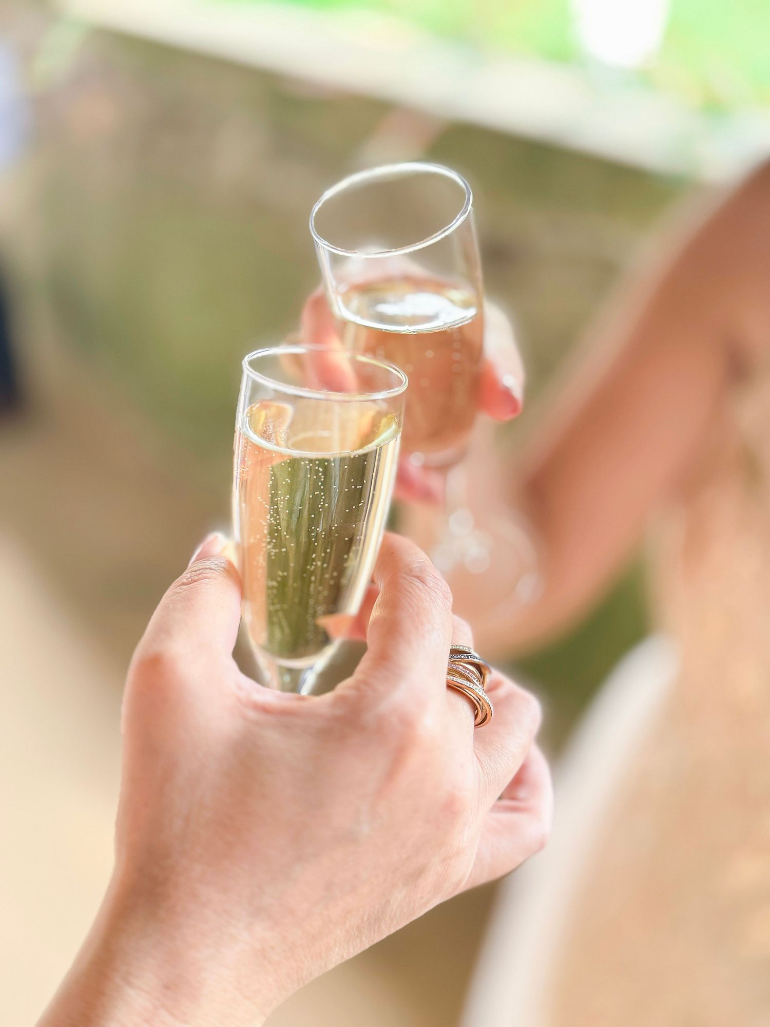 Photographe mariage Le Mans - Vin d'honneur au domaine de la touche.
