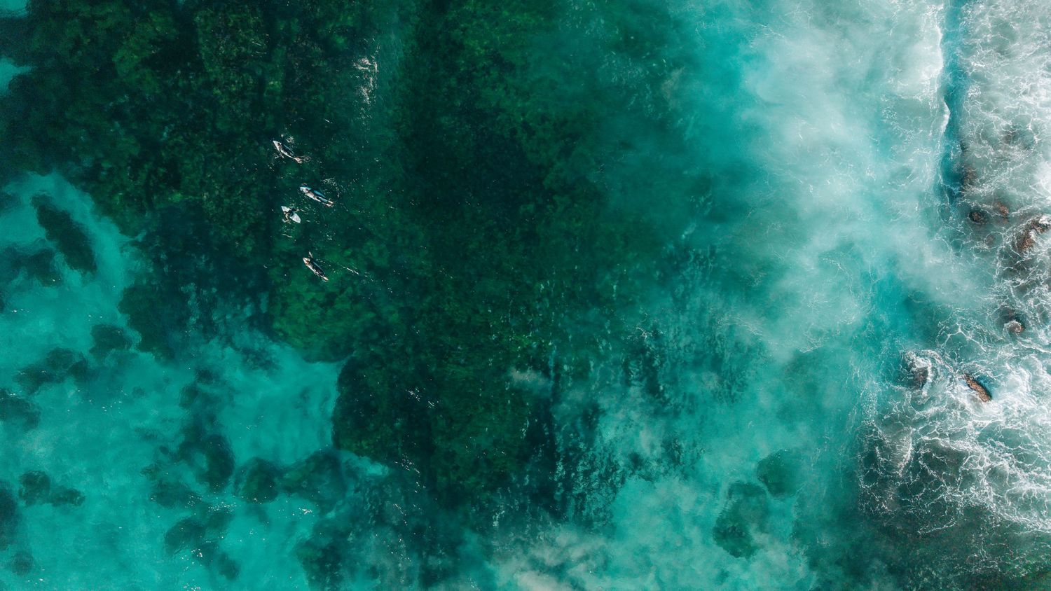 Aerial view of surfers paddling on turquoise ocean water near a coral reef with white foamy waves.