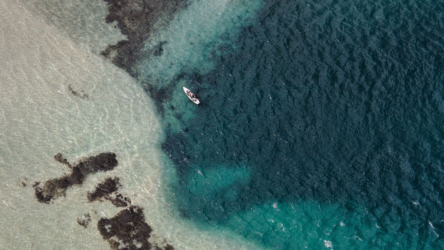 Aerial view of a kayak in Lake Macquarie, the ocean waters meeting sandy shallows.