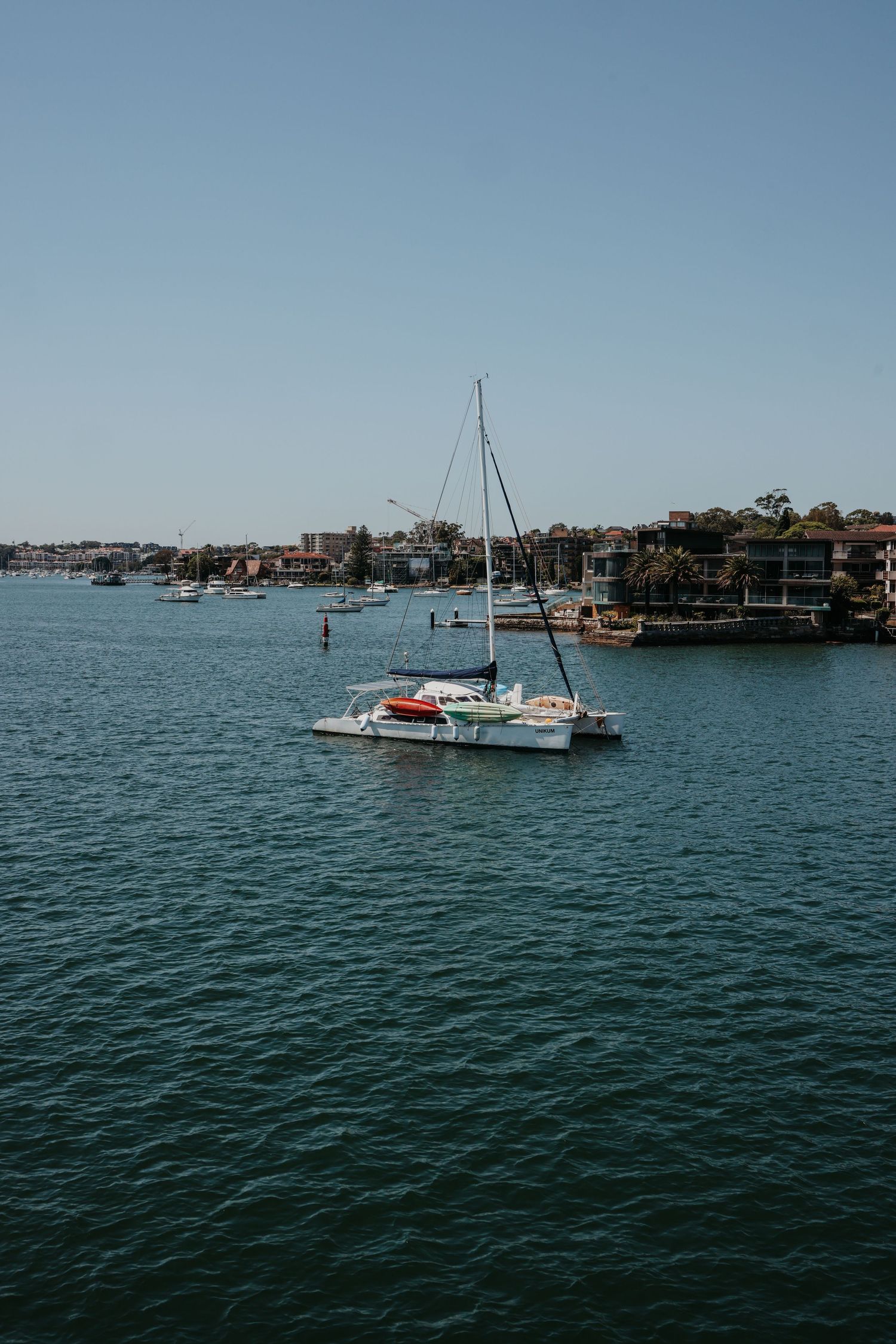 Catamaran sailing in the calm harbor waters with coastal buildings in background.