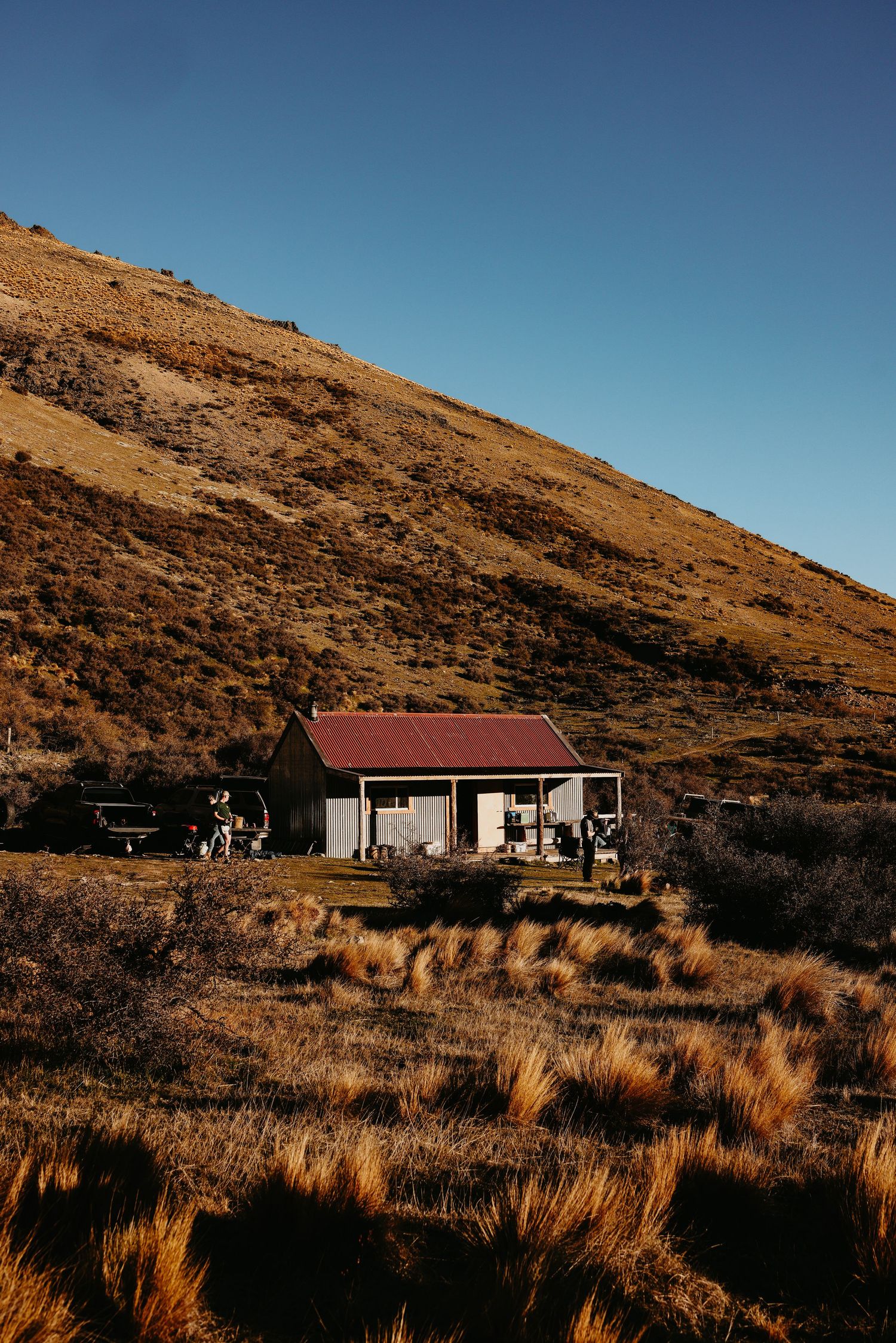 A rustic house nestled against golden hills with tussock grass in the foreground during sunset.