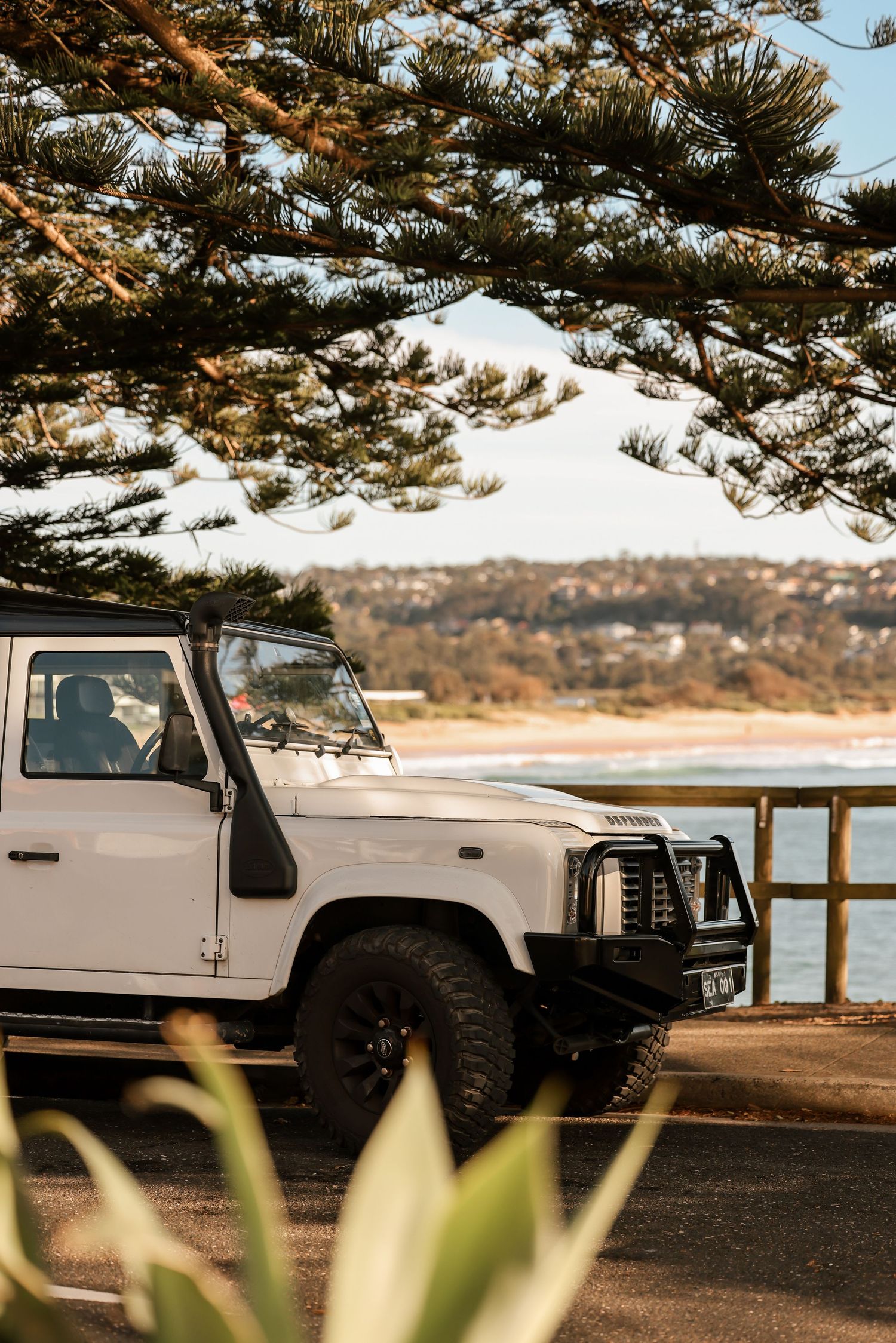 White vintage Jeep parked by the beach under Norfolk Pine trees.