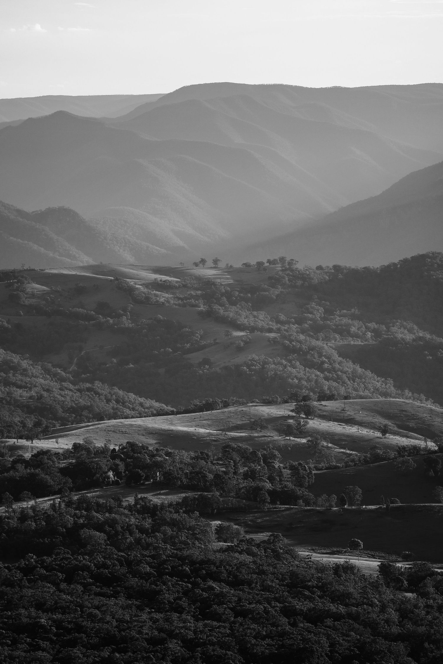 Rolling hills and mountains in black and white.