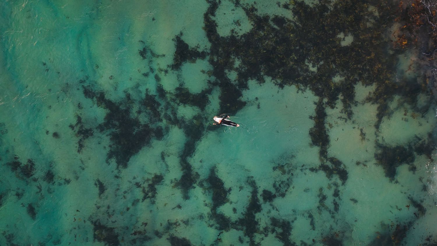 A lone surfer paddles past the breakers.
