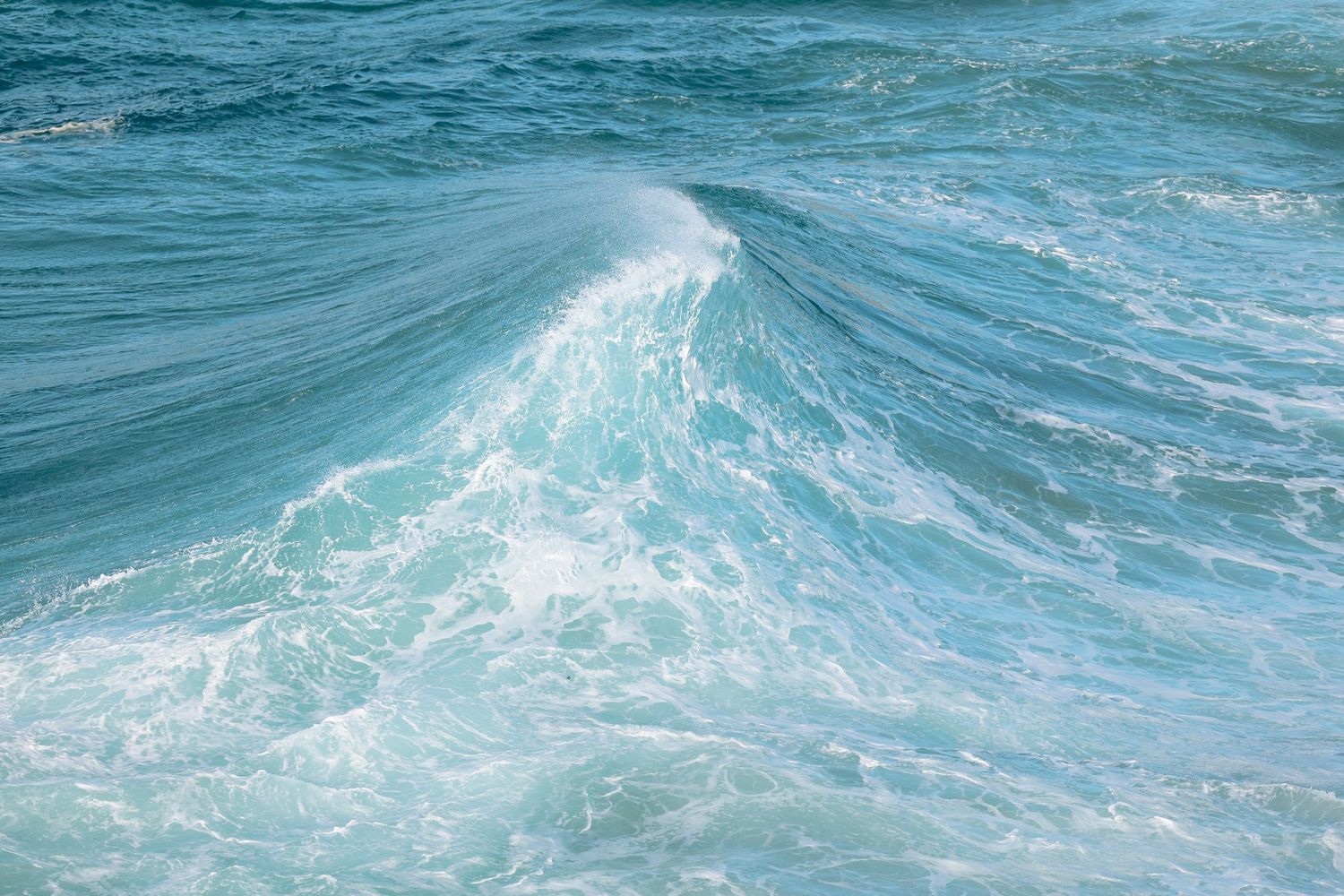 A turquoise ocean wave curls and crashes with white sea foam in clear blue tropical waters.
