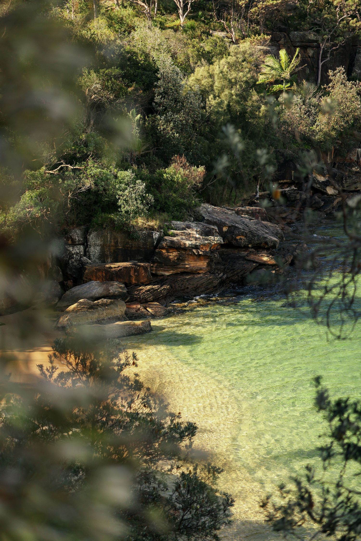 Crystal clear turquoise pool water surrounded by natural rock formations and trees.
