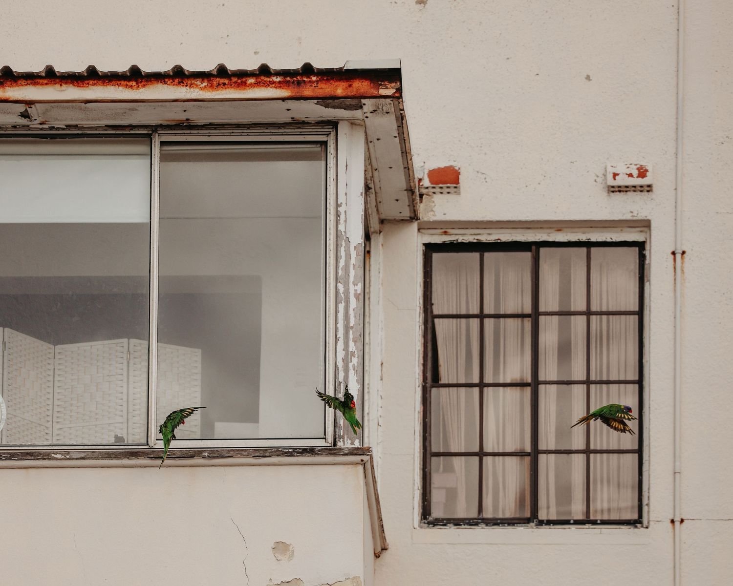 Row of white industrial windows on a concrete building exterior.