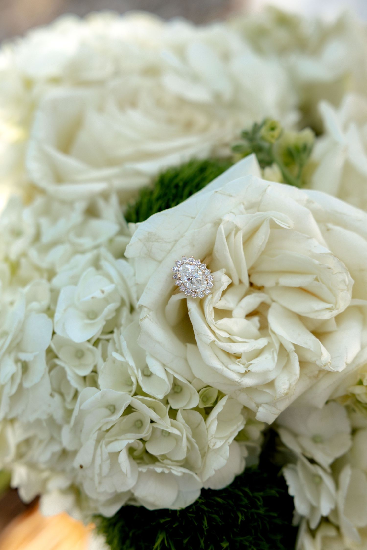 Diamond engagement ring nestled among white roses and hydrangeas in elegant bridal bouquet.