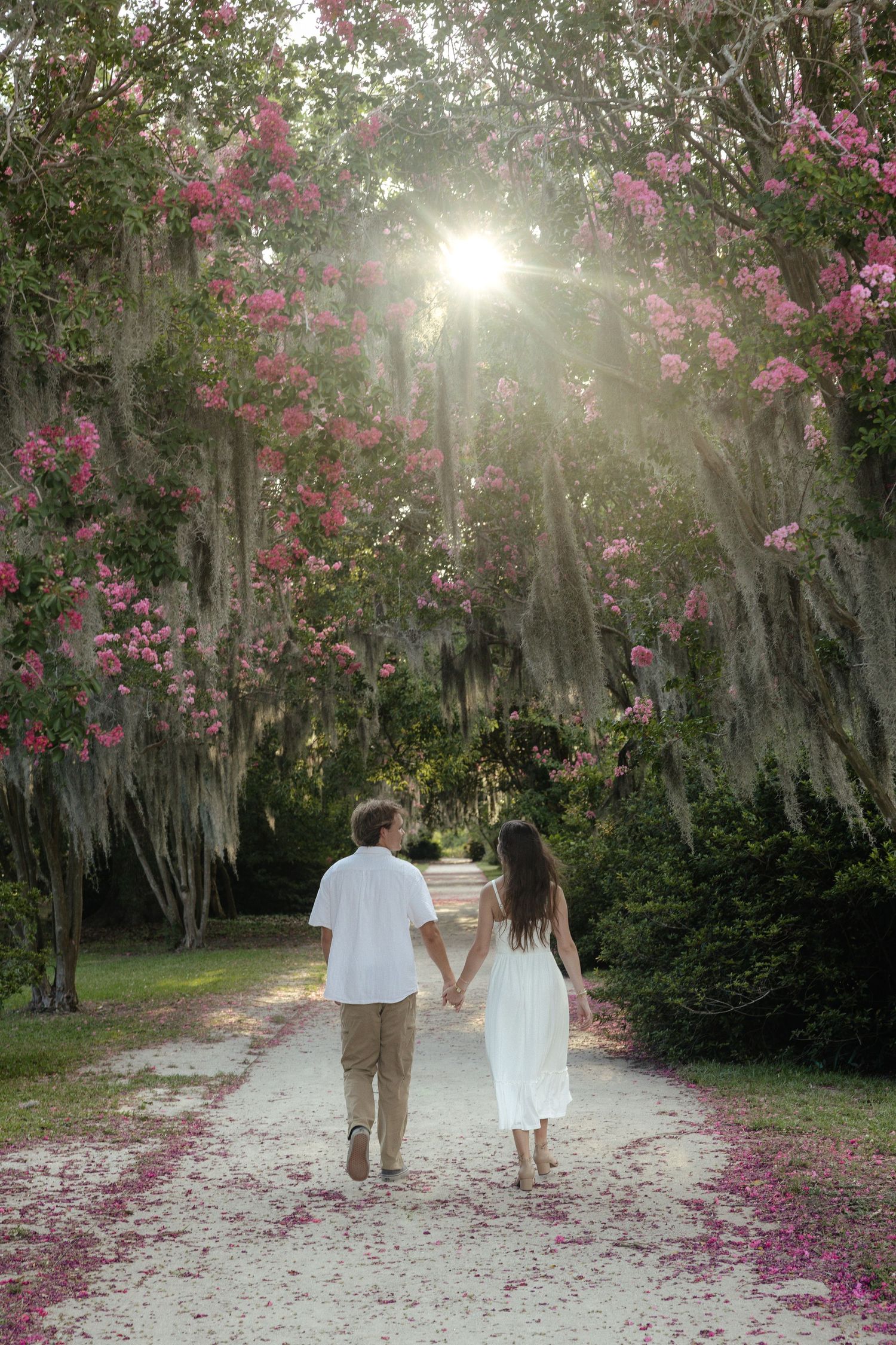 Couple holding hands walking down a sunlit path lined with blooming pink flowers and Spanish moss.