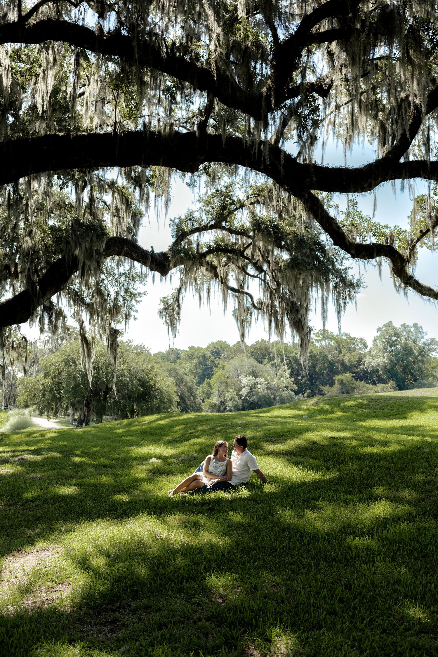 Couple sitting together on a grassy lawn beneath a large moss-draped oak tree in a scenic park.