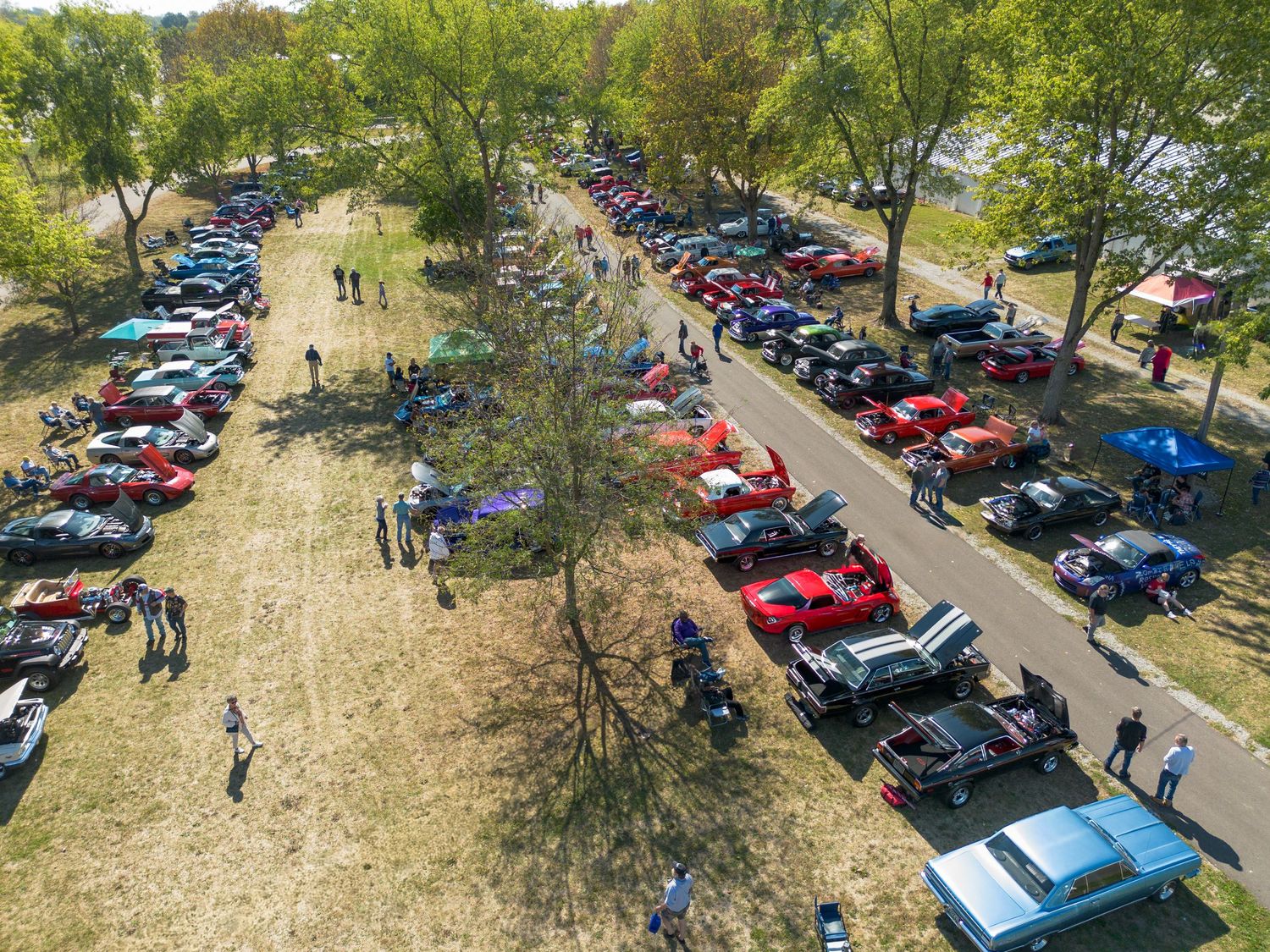 Aerial view of car show with vintage and modern vehicles parked in rows among trees.
