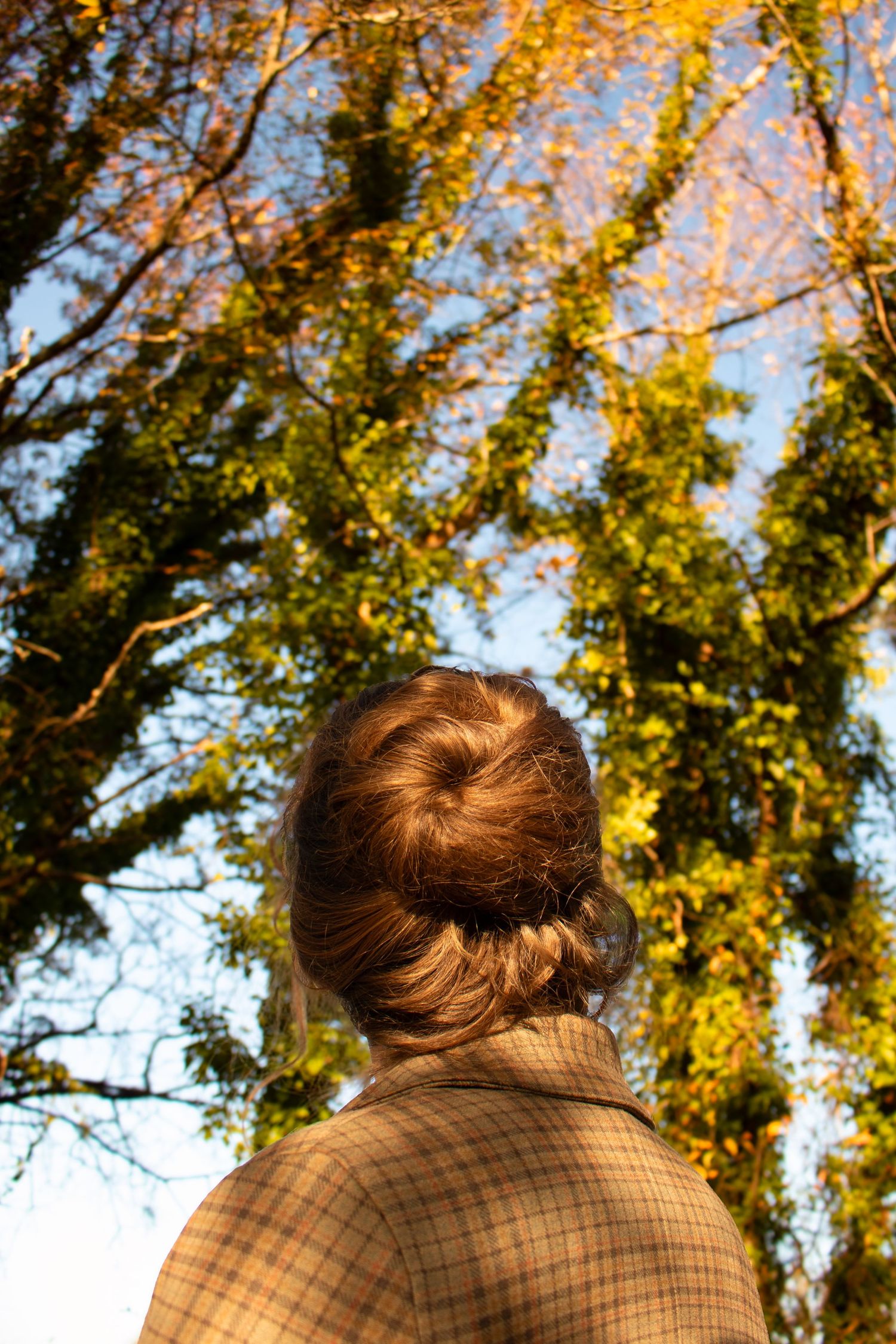A person with a bun hairstyle wearing a plaid coat stands against golden autumn foliage in a forest setting.