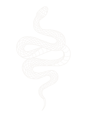 About Aimee! - Aimee Rose Weddings