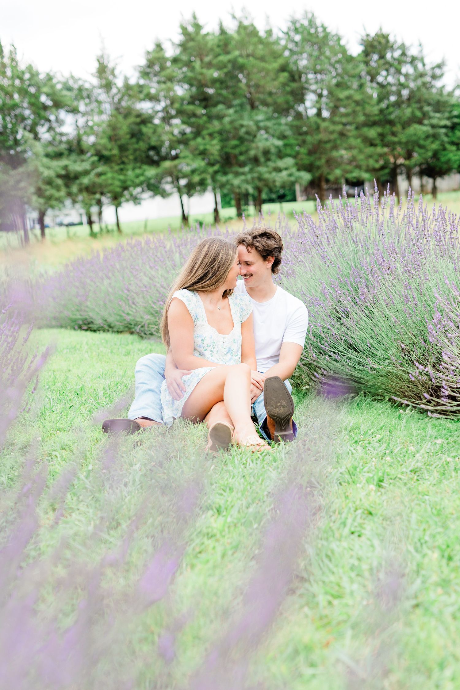 A romantic couple sits together in a blooming lavender field on a sunny summer day.