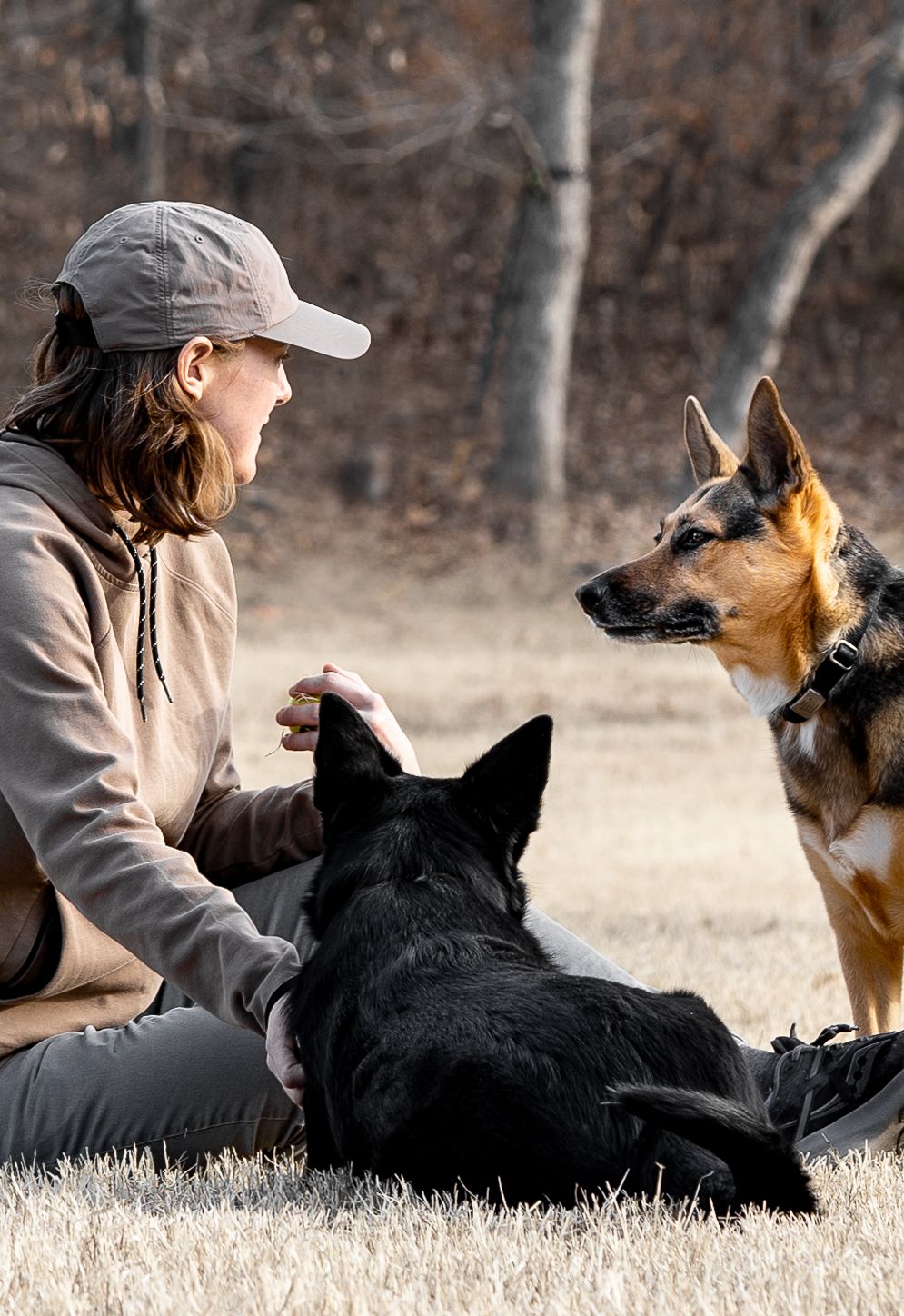 Wildomar Dog Photographer Rachel Gayle