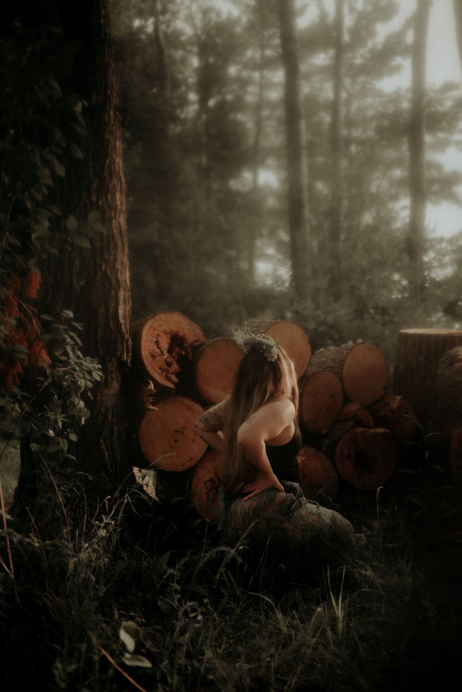 Moody forest photography with stacked logs in misty evening light.