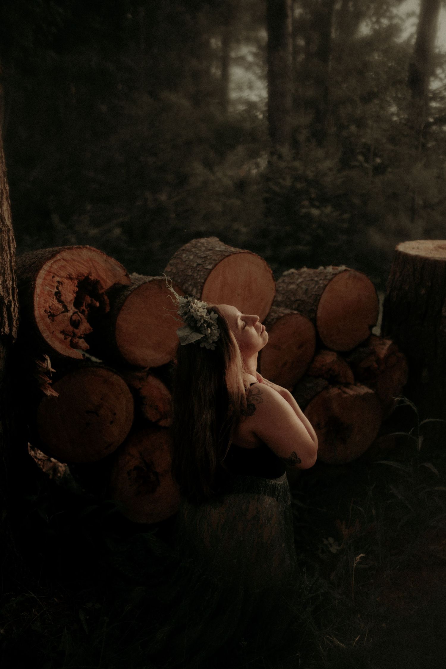 Cut wood logs piled against evergreen trees in a shadowy forest landscape.