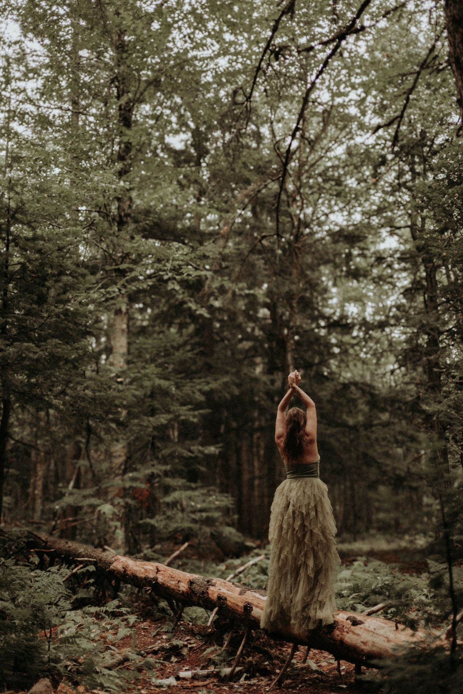 A figure in a flowy dress poses gracefully in a serene forest setting with tall pine trees and fallen logs.