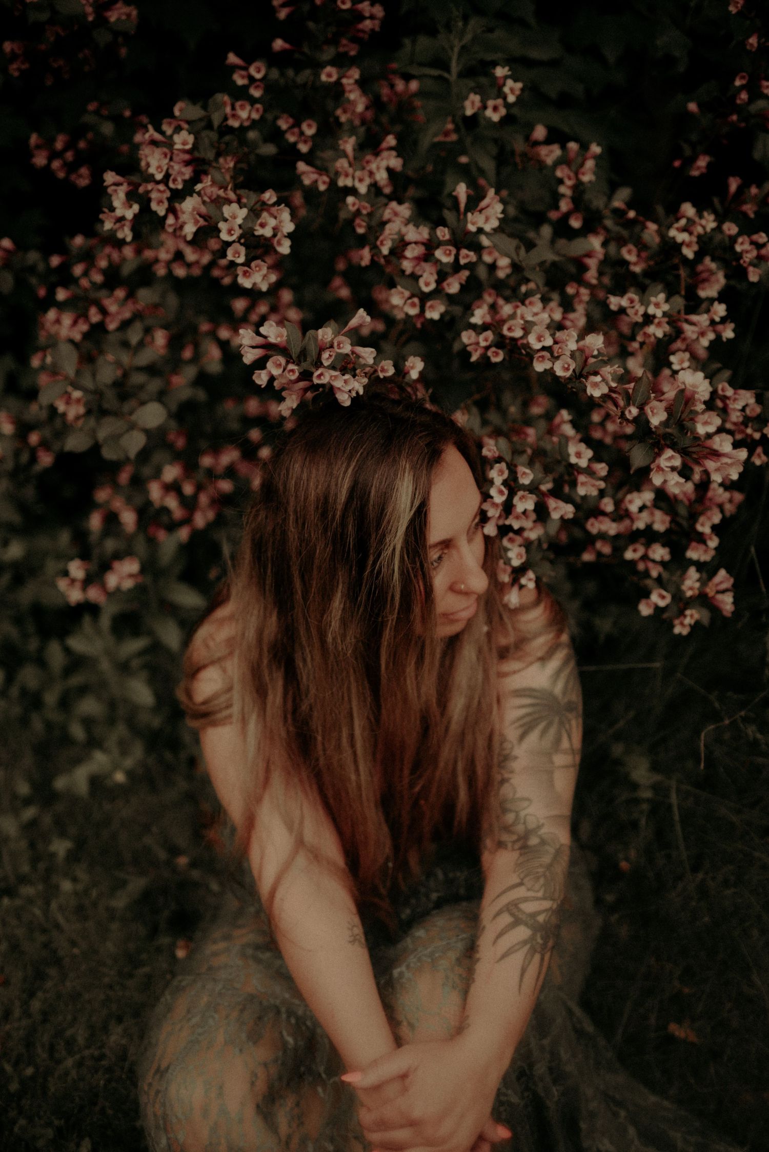 Romantic scene with cherry blossoms creating a soft, dreamy atmosphere in low light.