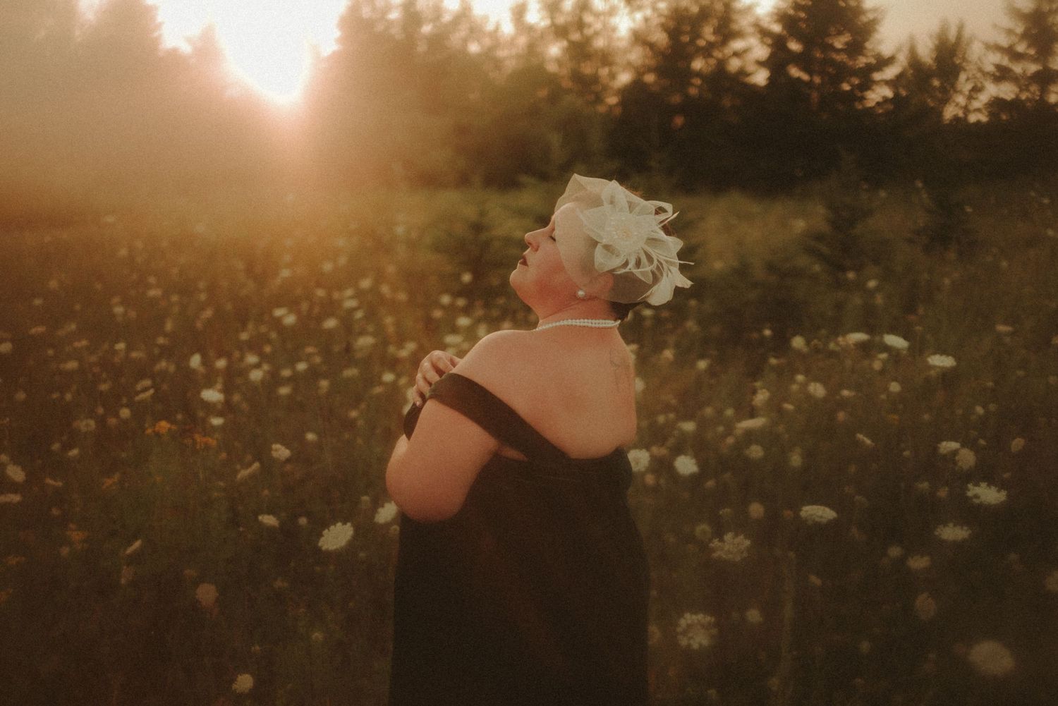 A golden sunburst filters through towering evergreen trees in a misty forest at sunset, creating a dreamy atmosphere.
