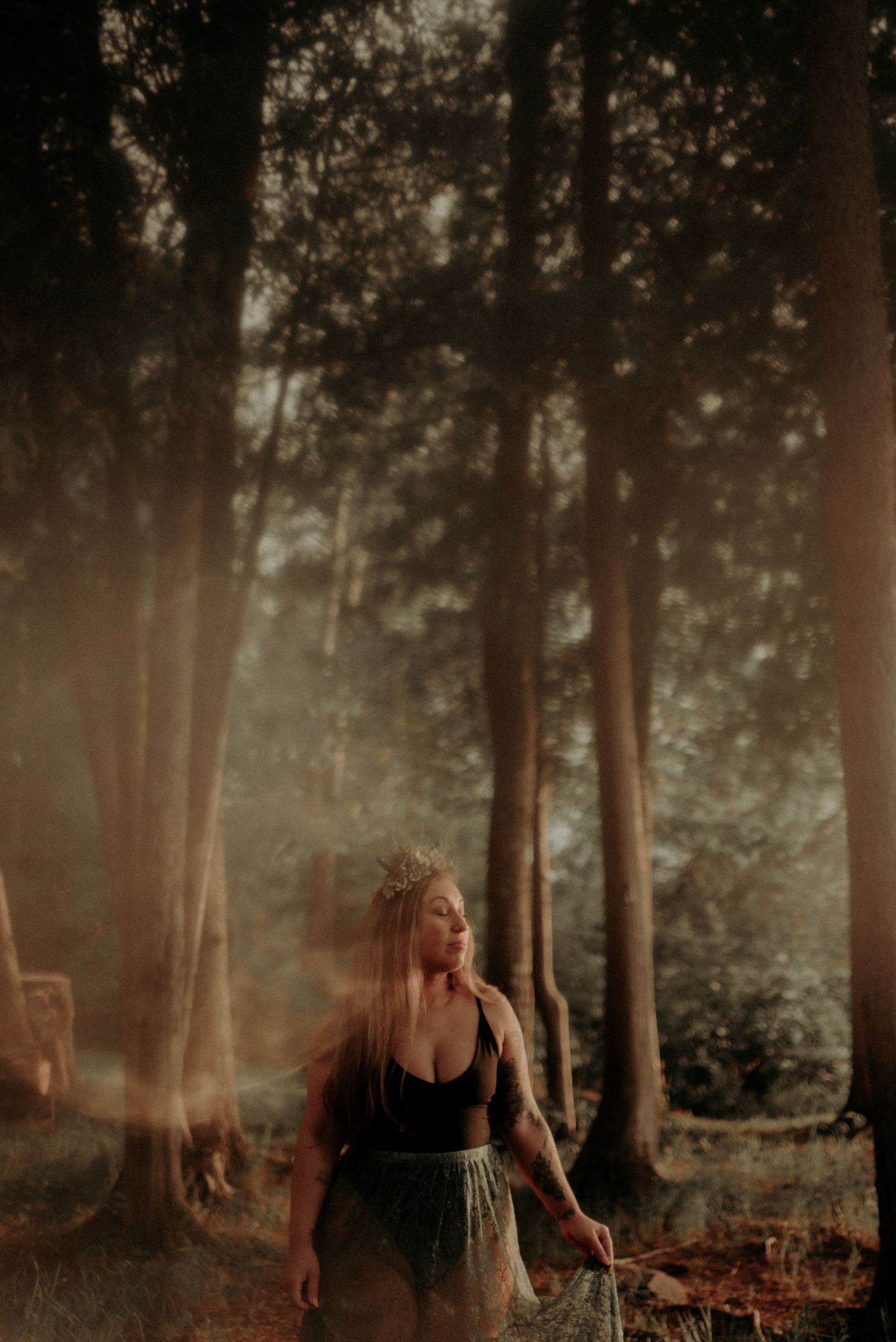 Mystical woodland scene with golden light rays filtering through trees and fog.