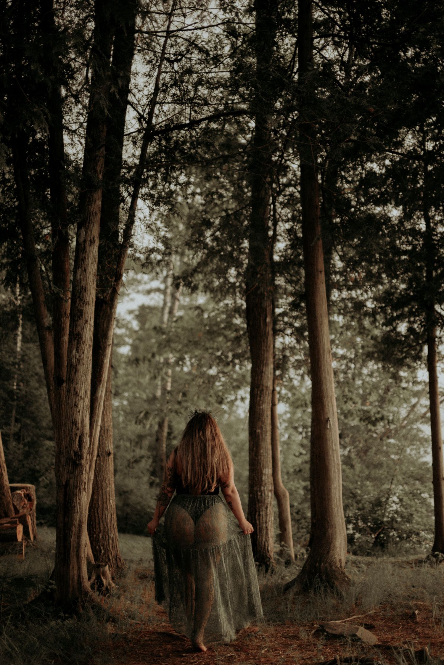 Mystical forest scene with tall trees and a flowing dress silhouette on a dirt path.