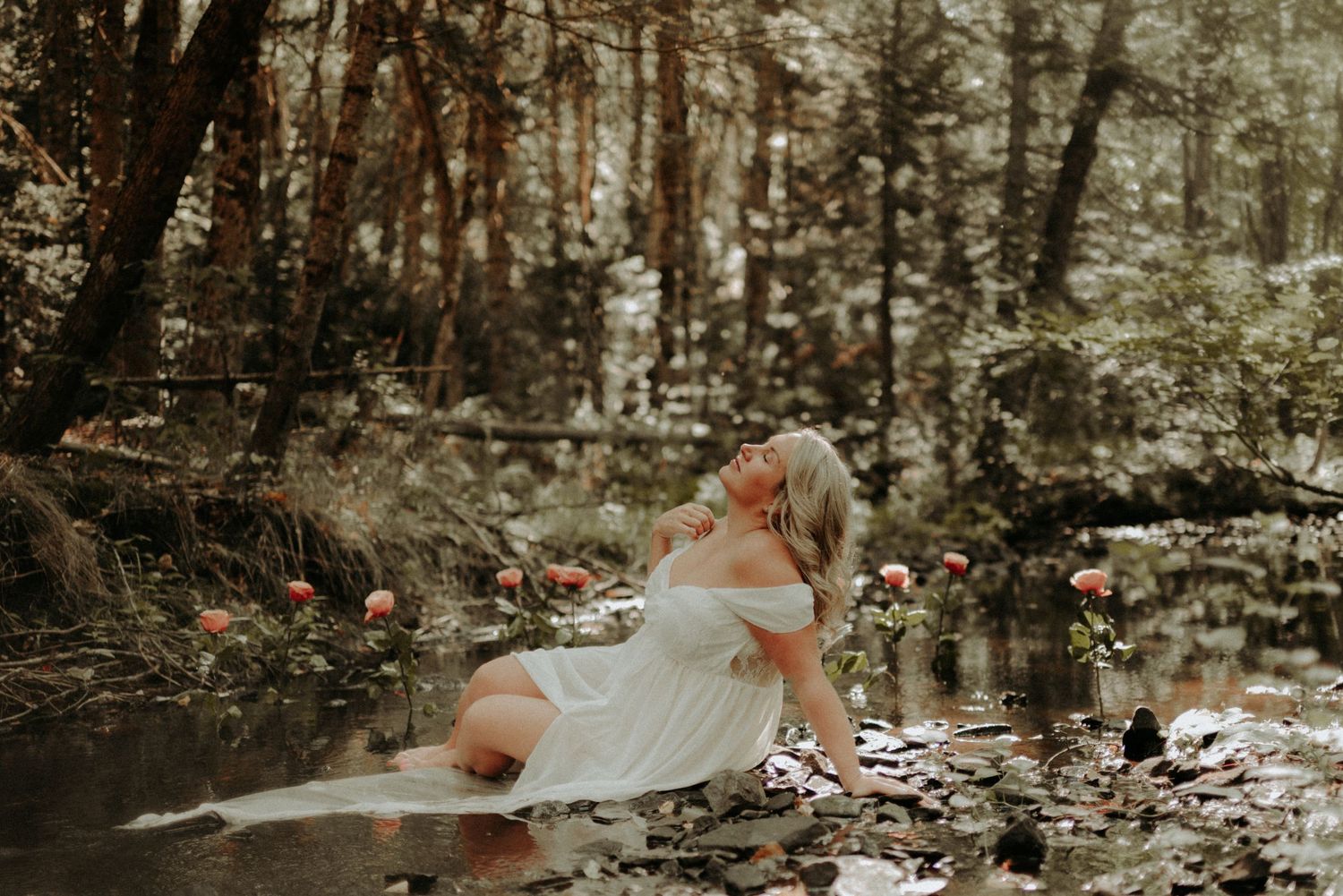 A dreamy forest scene with sunlight filtering through trees creating a magical woodland atmosphere.