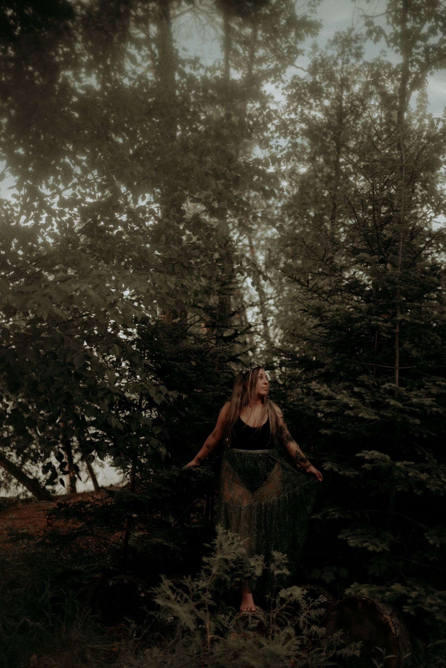 Ethereal woodland scene with soft natural lighting filtering through evergreen trees.
