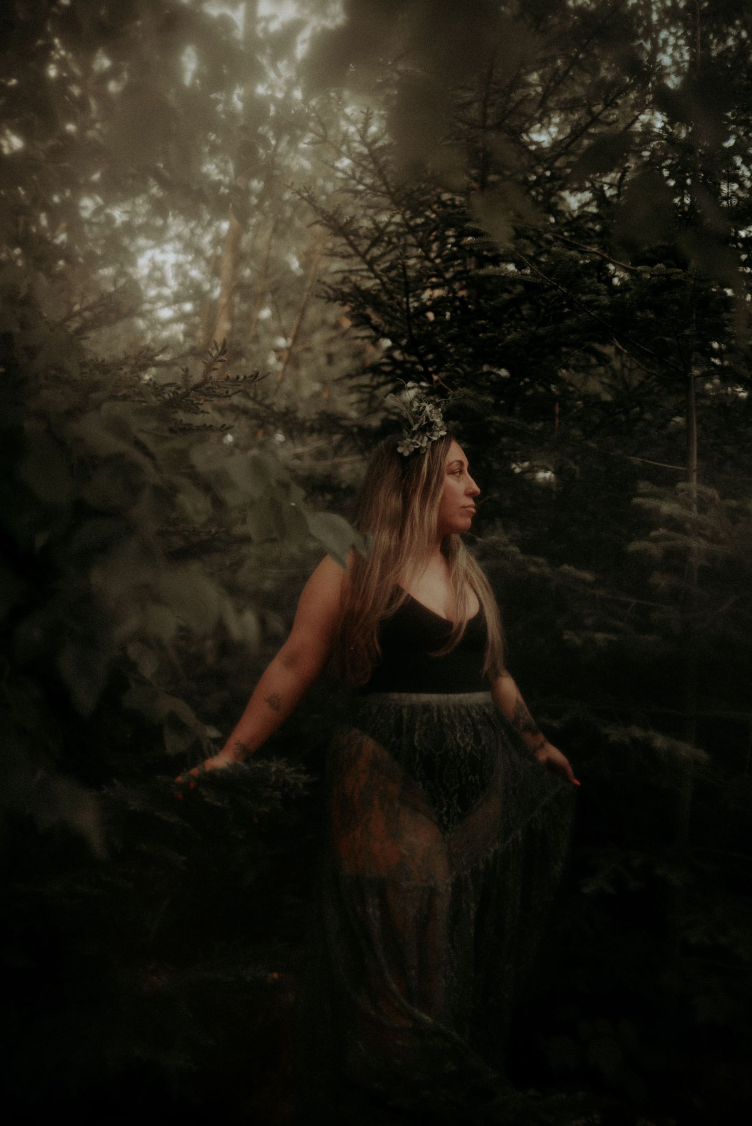 Artistic forest portrait with dramatic lighting and shadowy pine trees.
