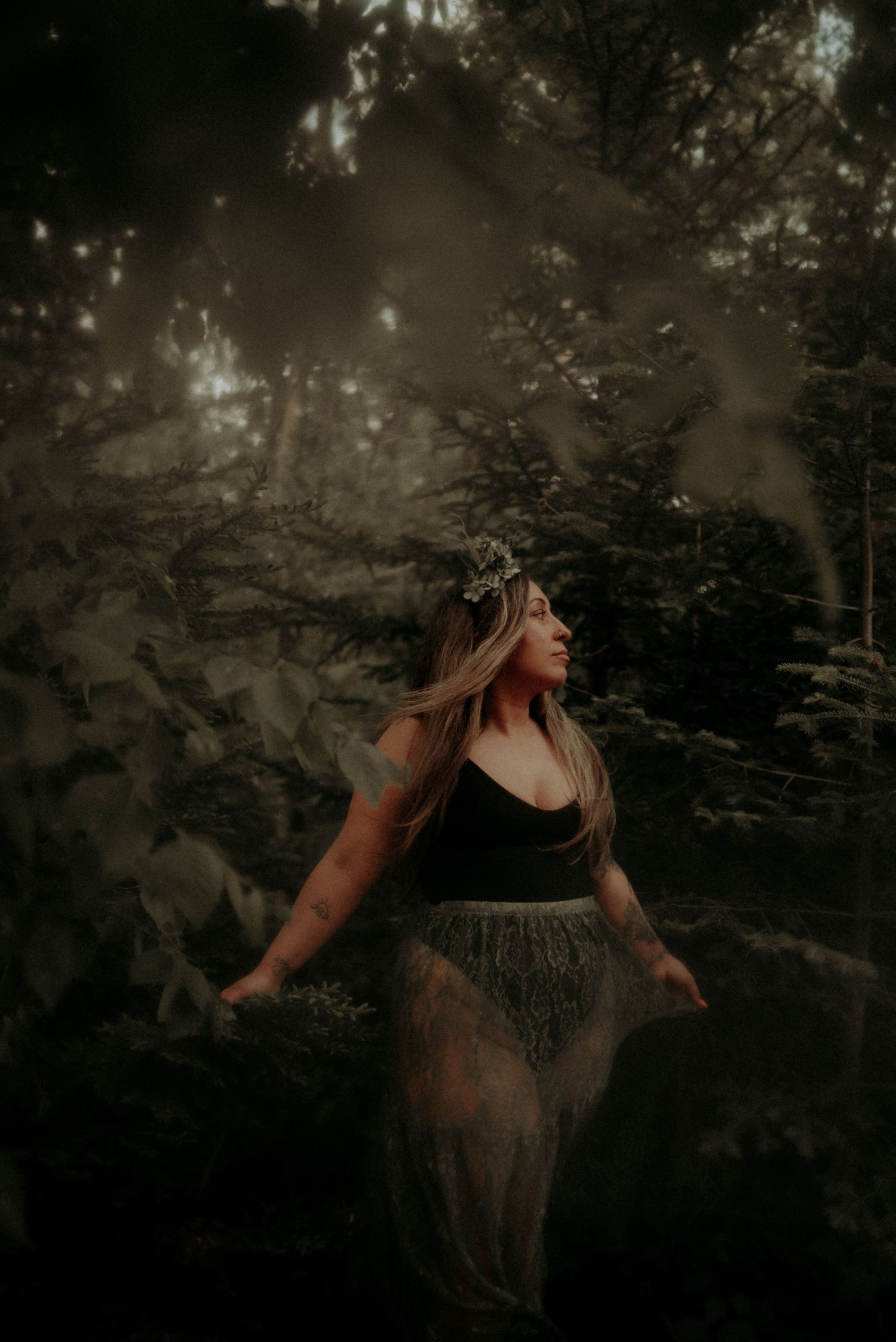Atmospheric forest photography with dreamy backlit trees and moody lighting.