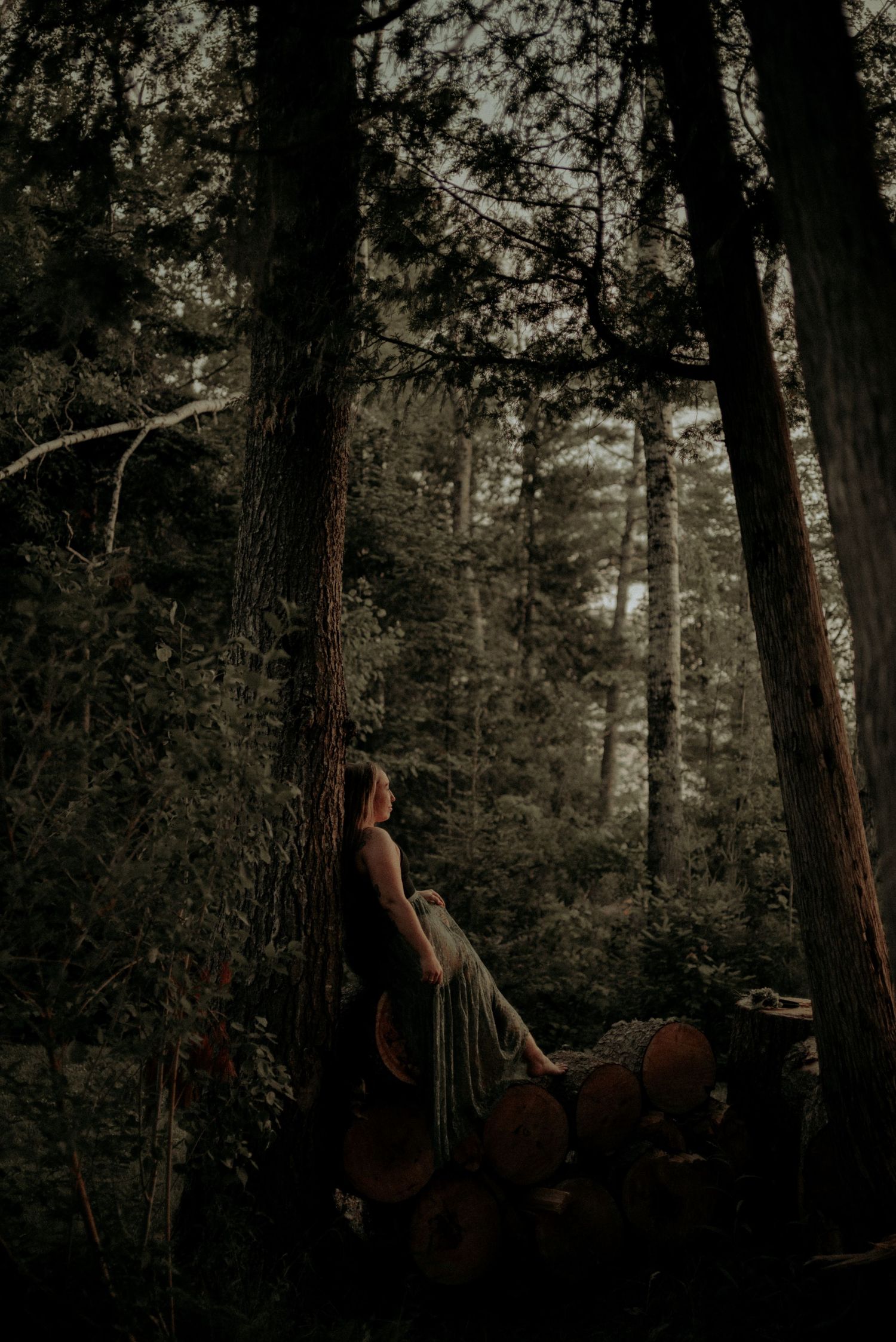 Atmospheric forest portrait on pile of logs between tall trees.