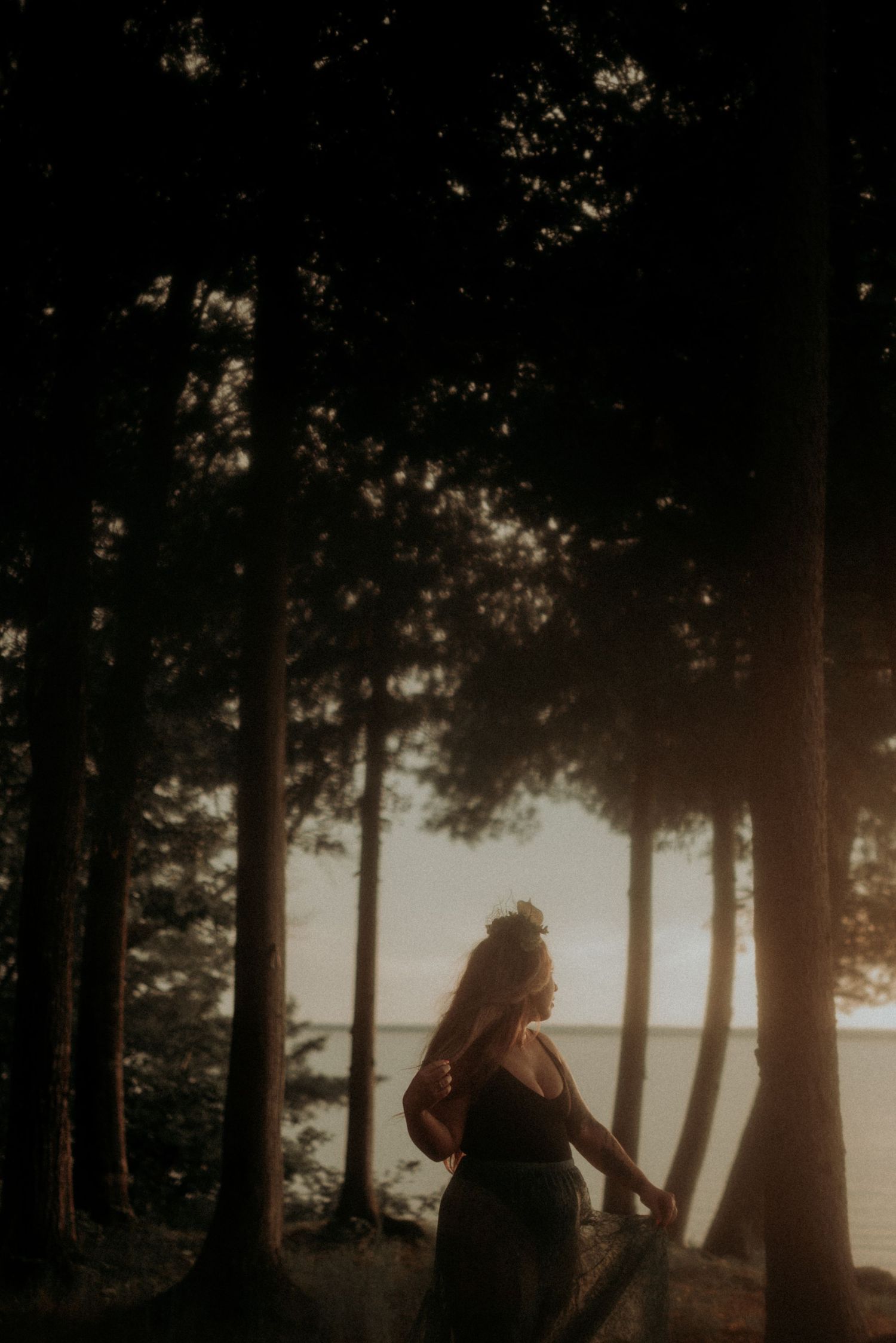 Sunset forest photography with dramatic backlighting through pine trees near water.