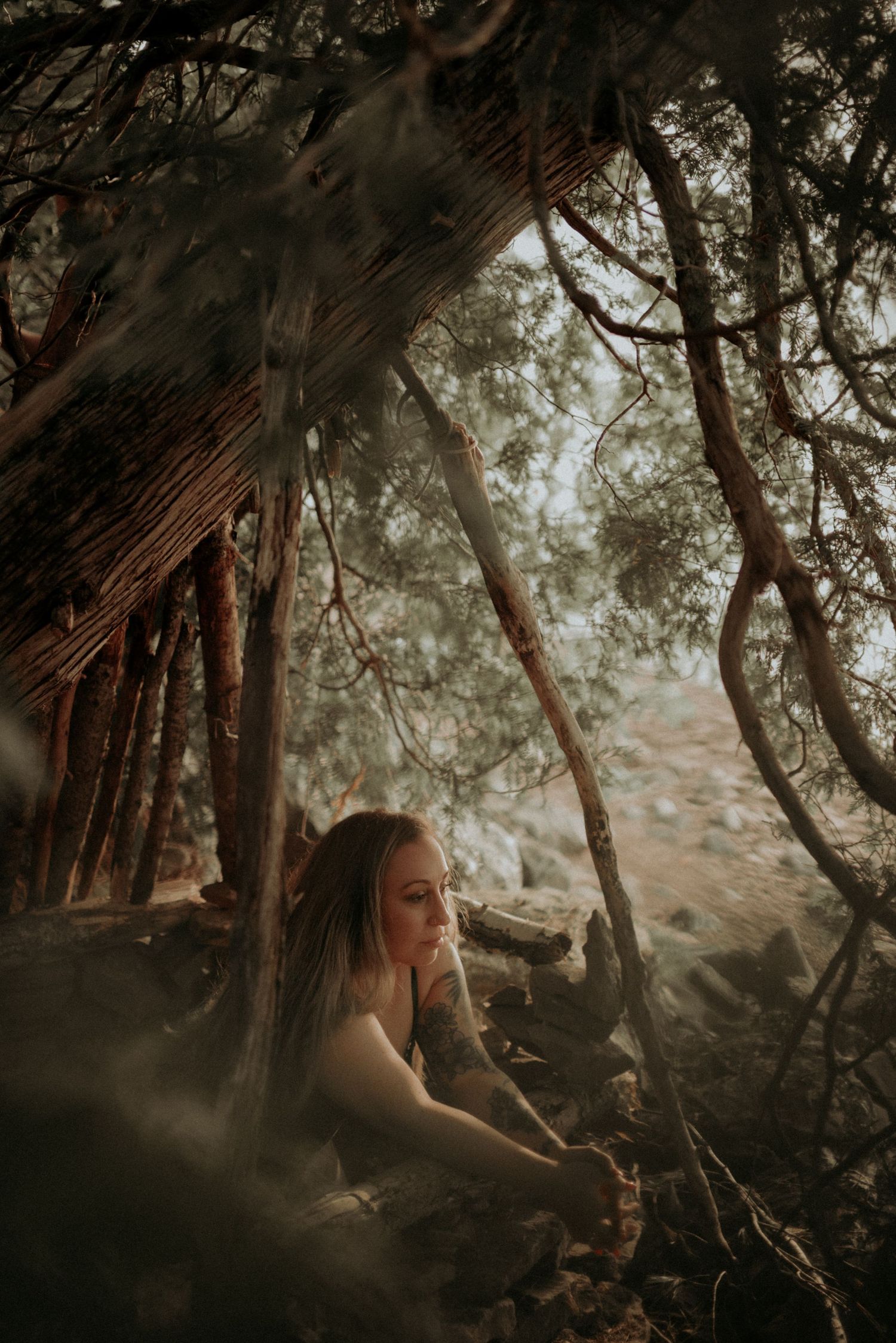 Moody forest photoshoot with figure seated among twisted tree branches in golden afternoon light.