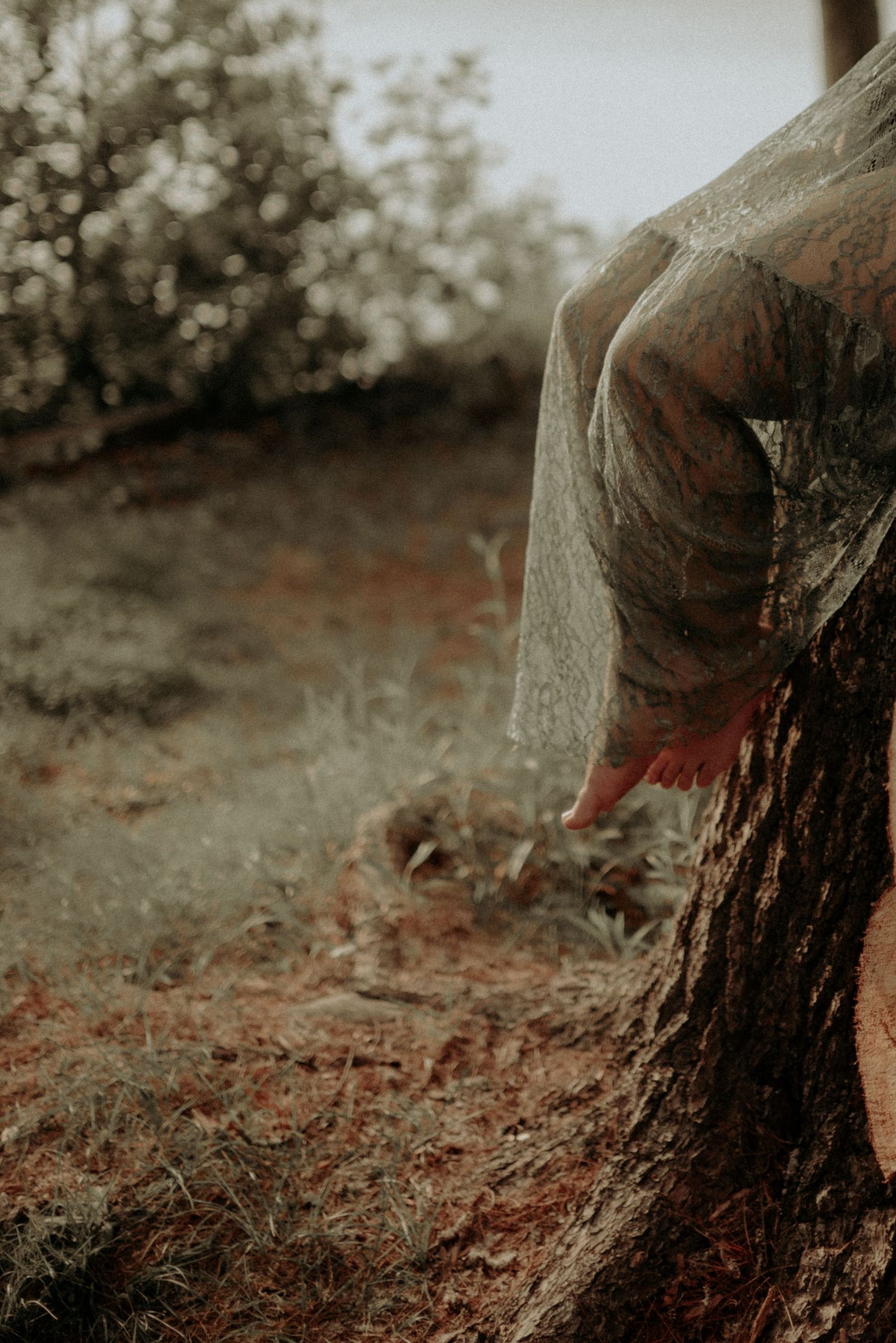 Close-up forest photography with blurred foliage and muted earth tones.