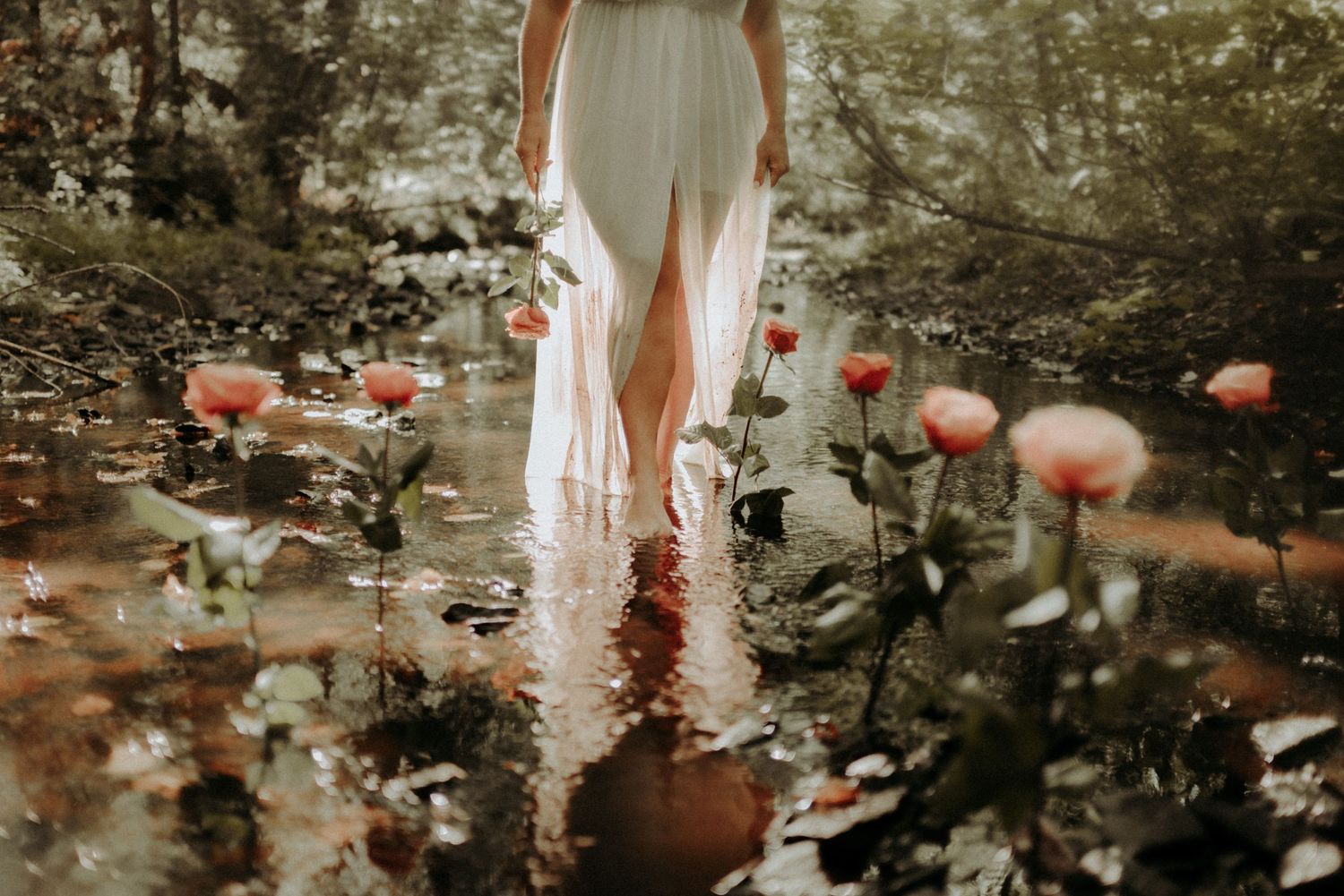 A series of romantic garden wedding photos with lanterns and light filtering through trees creates a dreamy atmosphere.