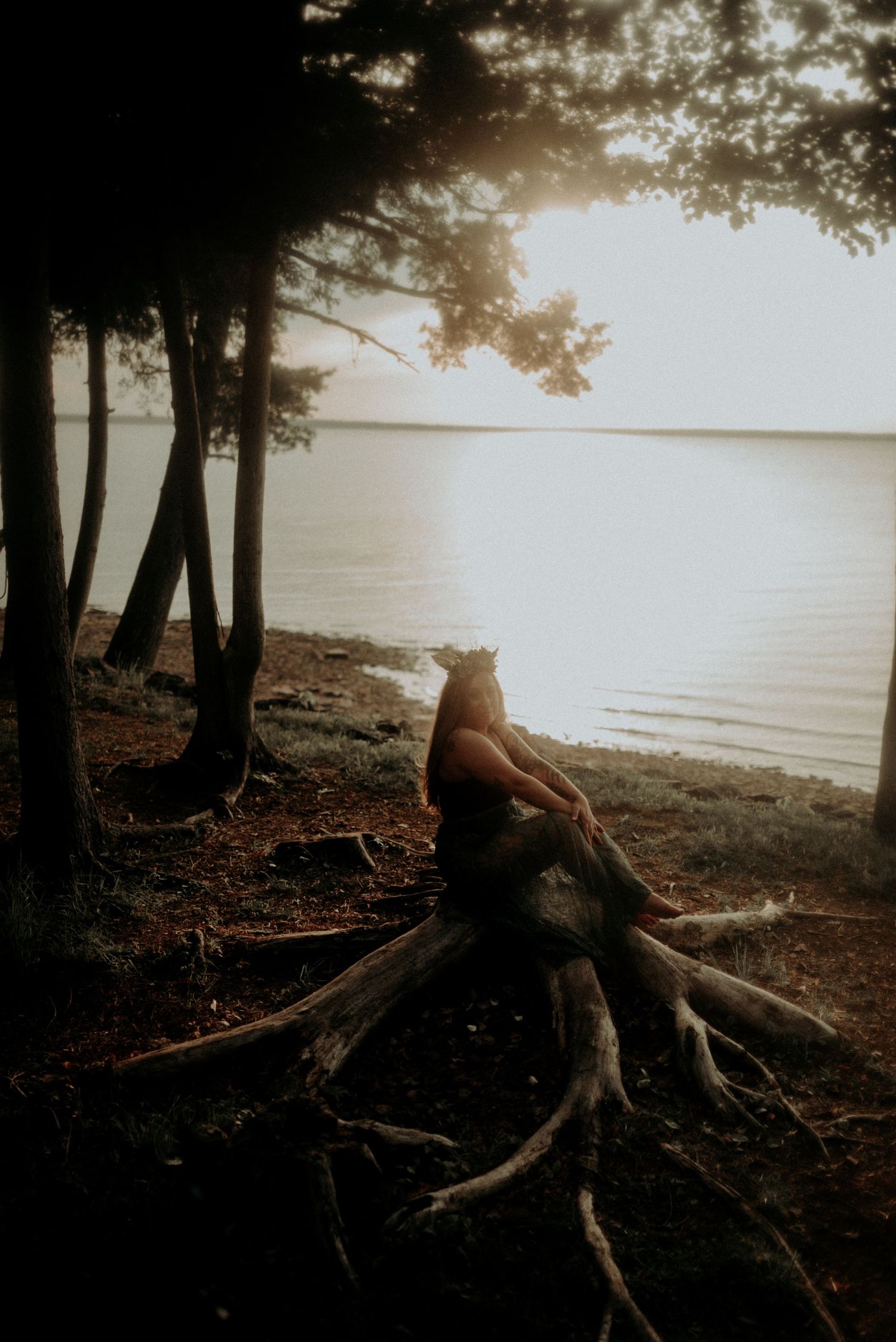Exposed tree roots along a misty shoreline during sunset with trees silhouetted against water.